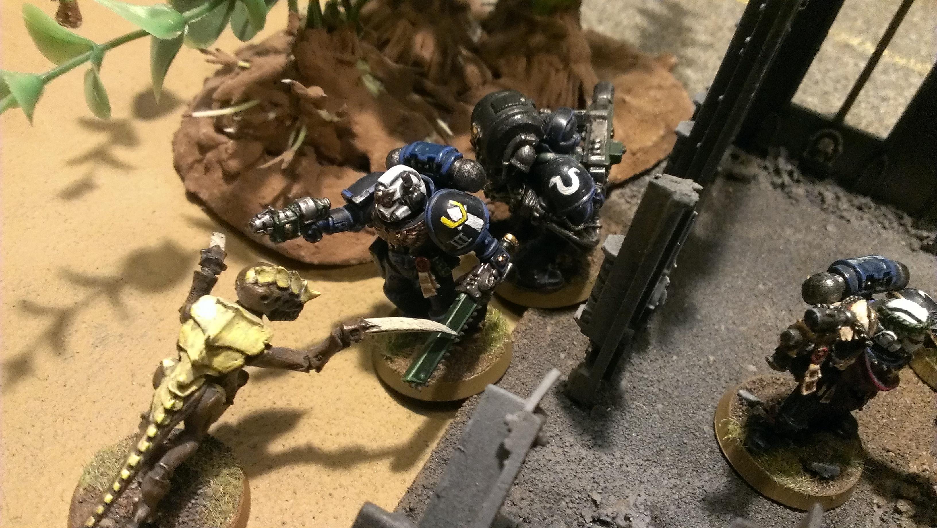 Battle Report, Space Marines, Tyranids