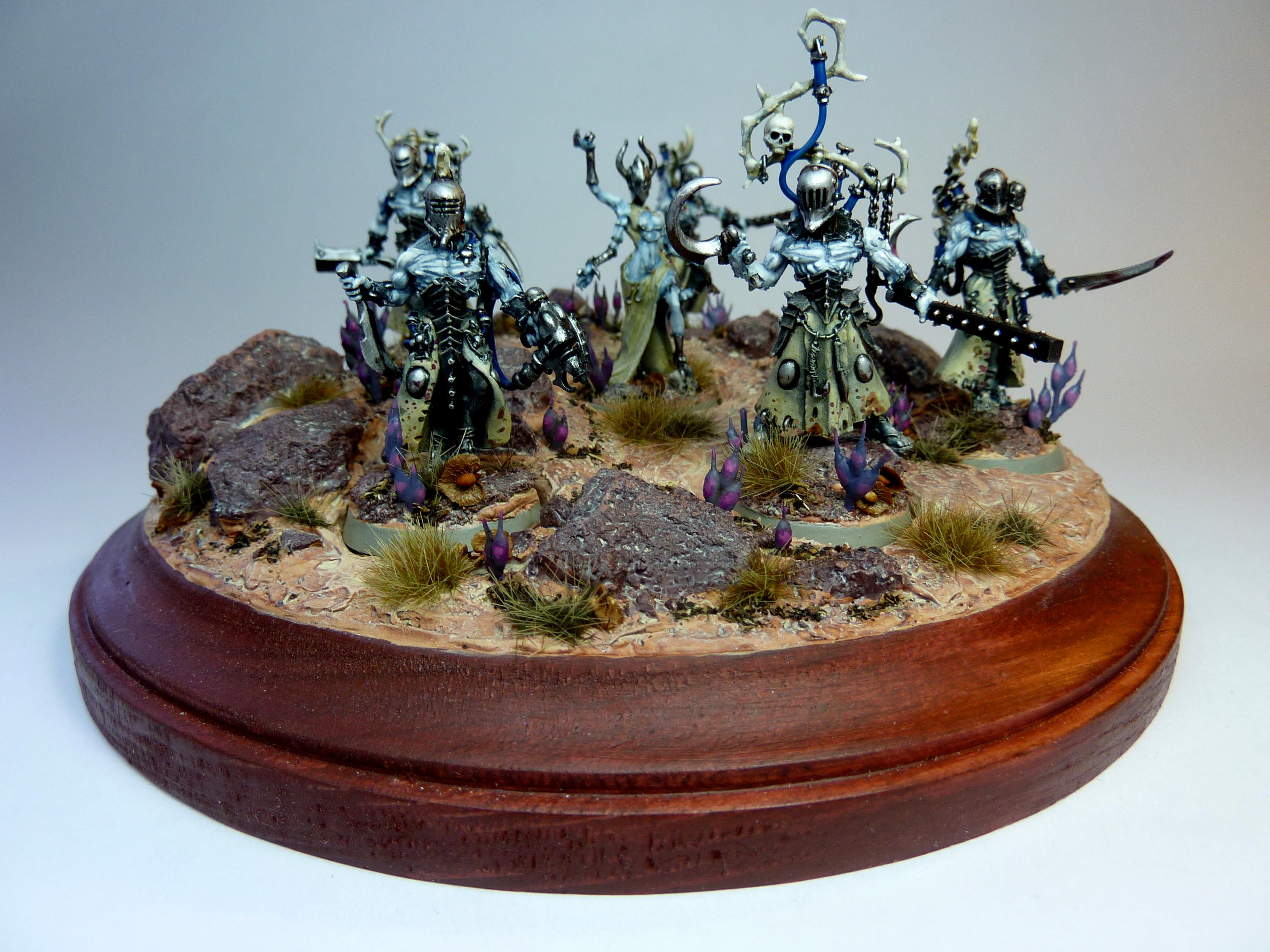 Dark Eldar Wracks