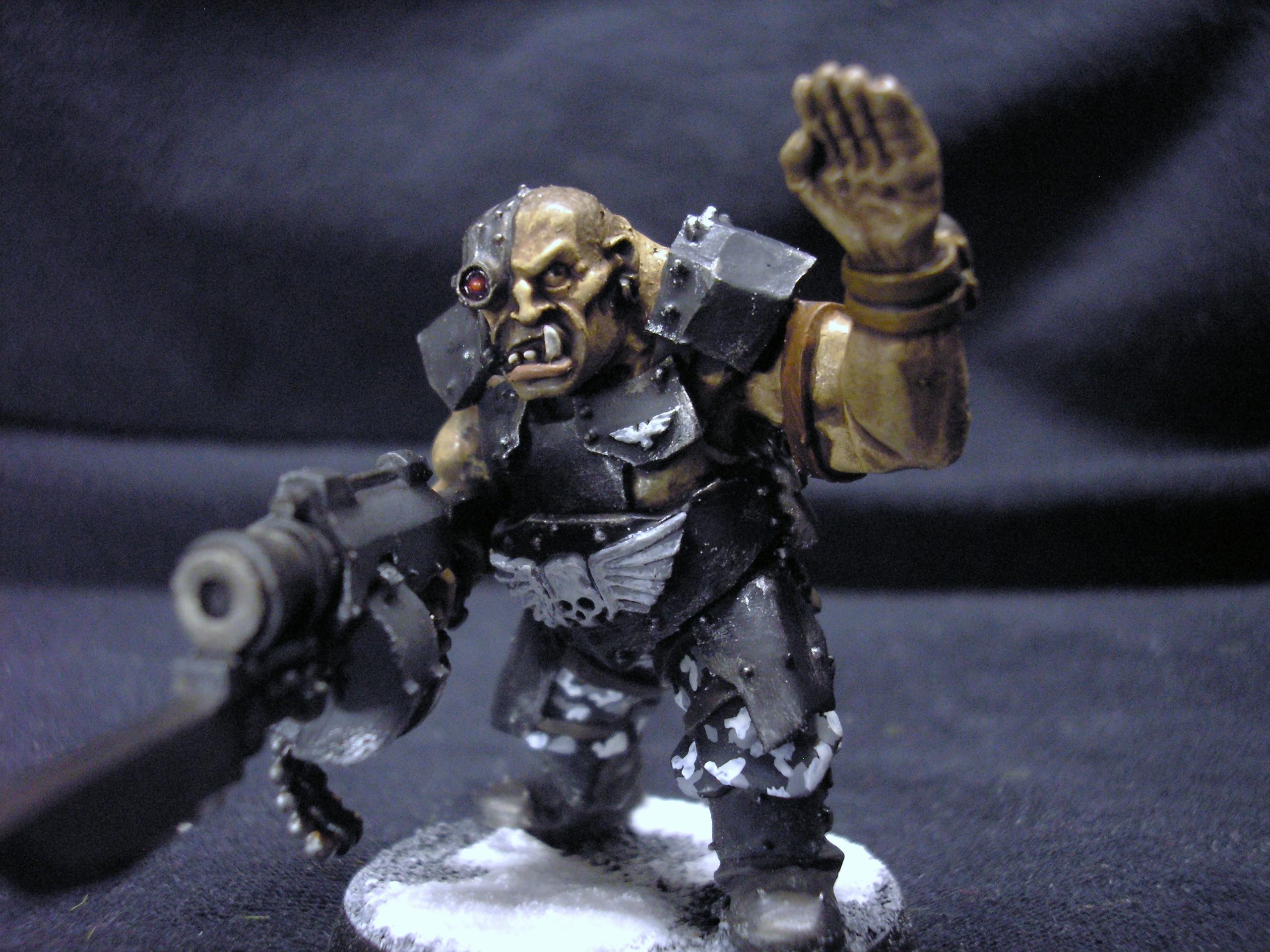 Imperial Guard, Ogryns