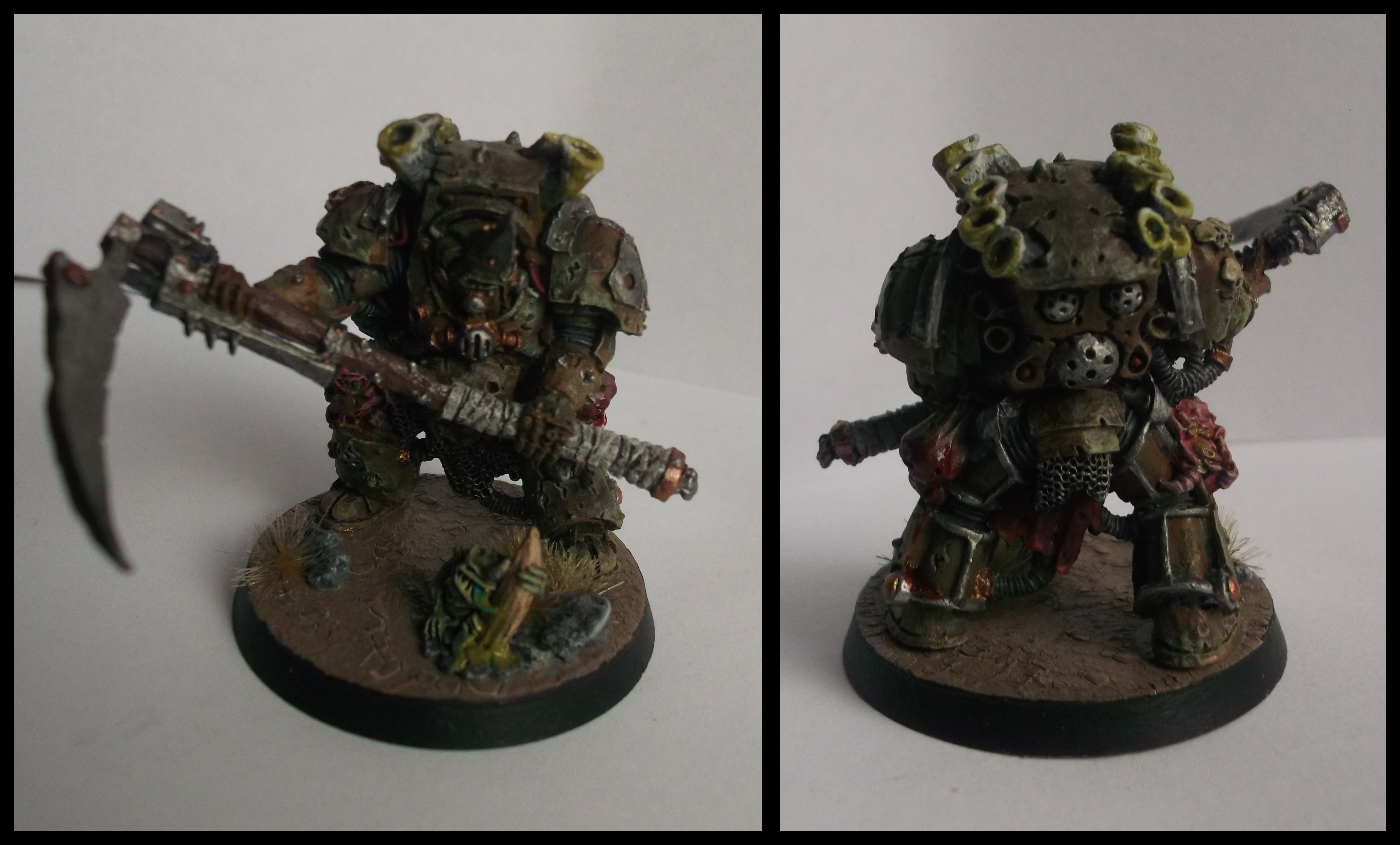 Typhus, front and back view