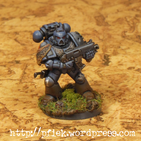Homebrew Chapter, Space Marines, Space Wolves