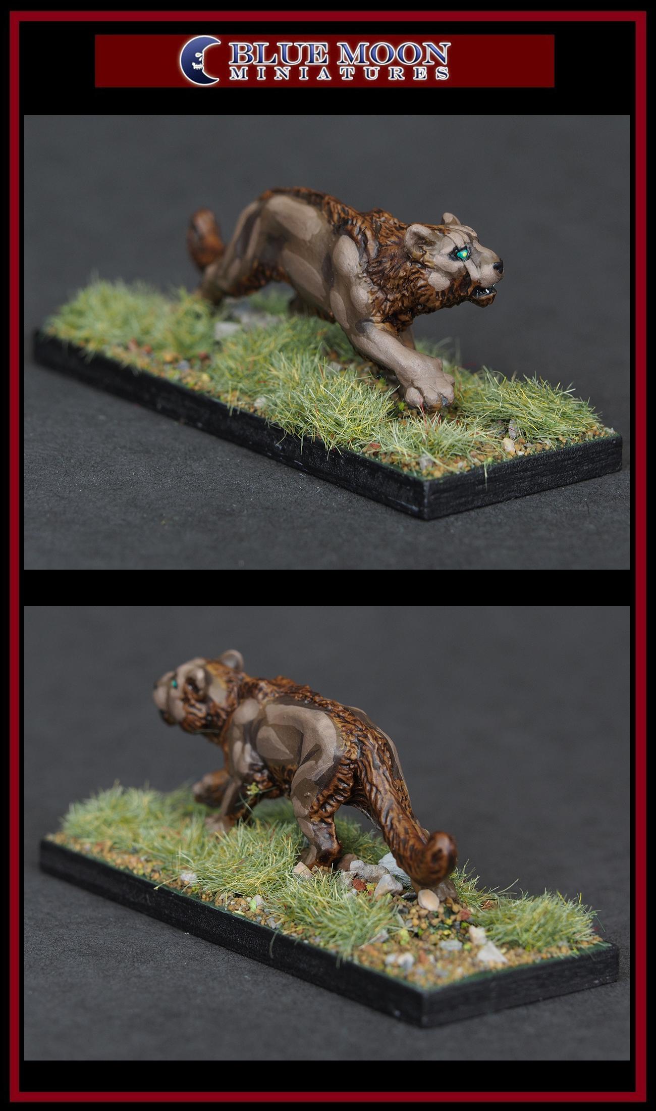 Pathfinders, Pro Painted, Reaper, Reaper Miniatures, Reaper Minis, Rpg, Warhammer Fantasy
