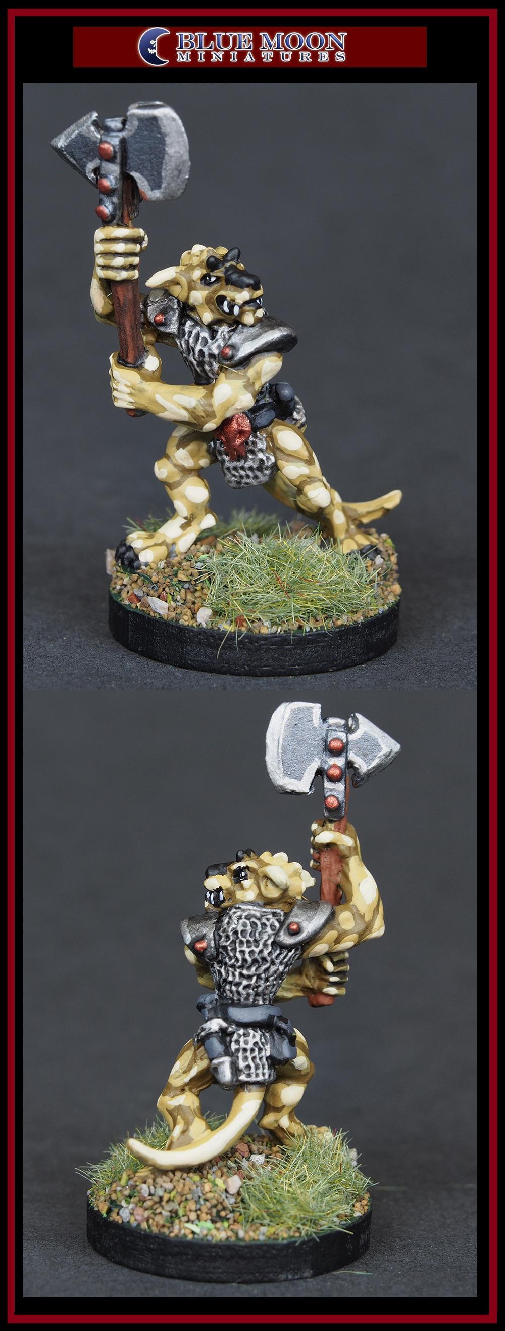Pathfinders, Pro Painted, Reaper, Reaper Miniatures, Reaper Minis, Rpg, Warhammer Fantasy