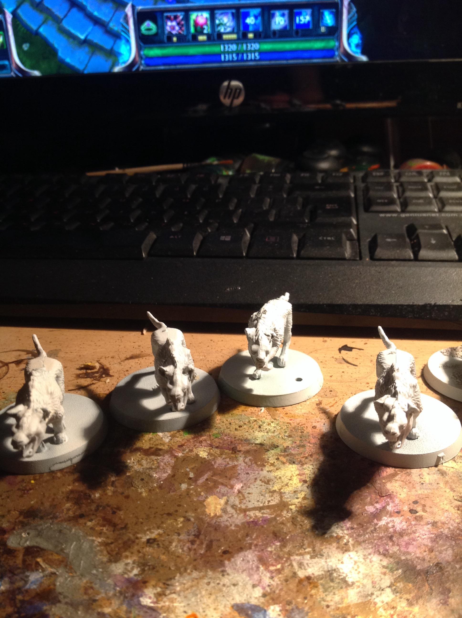Hyena warhounds
