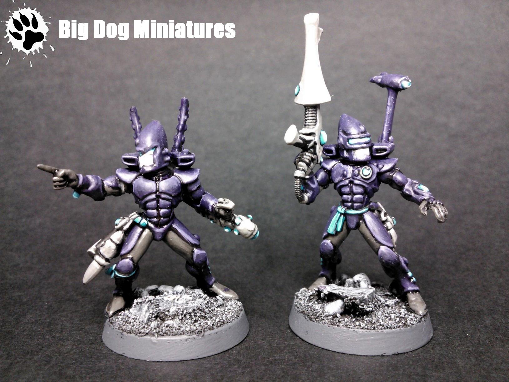 Big Dog Miniatures, Eldar, Guardians, Platform, Purple, Warlock, Weapon, Witch Blade