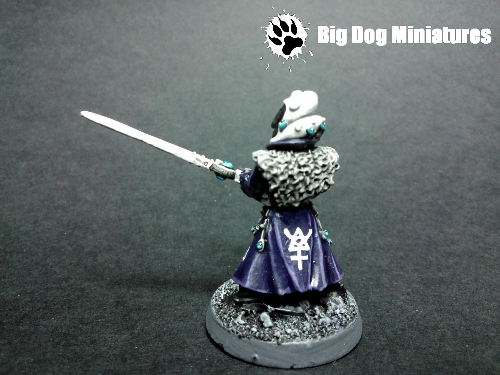 Big Dog Miniatures, Eldar, Guardians, Platform, Purple, Warlock, Weapon, Witch Blade