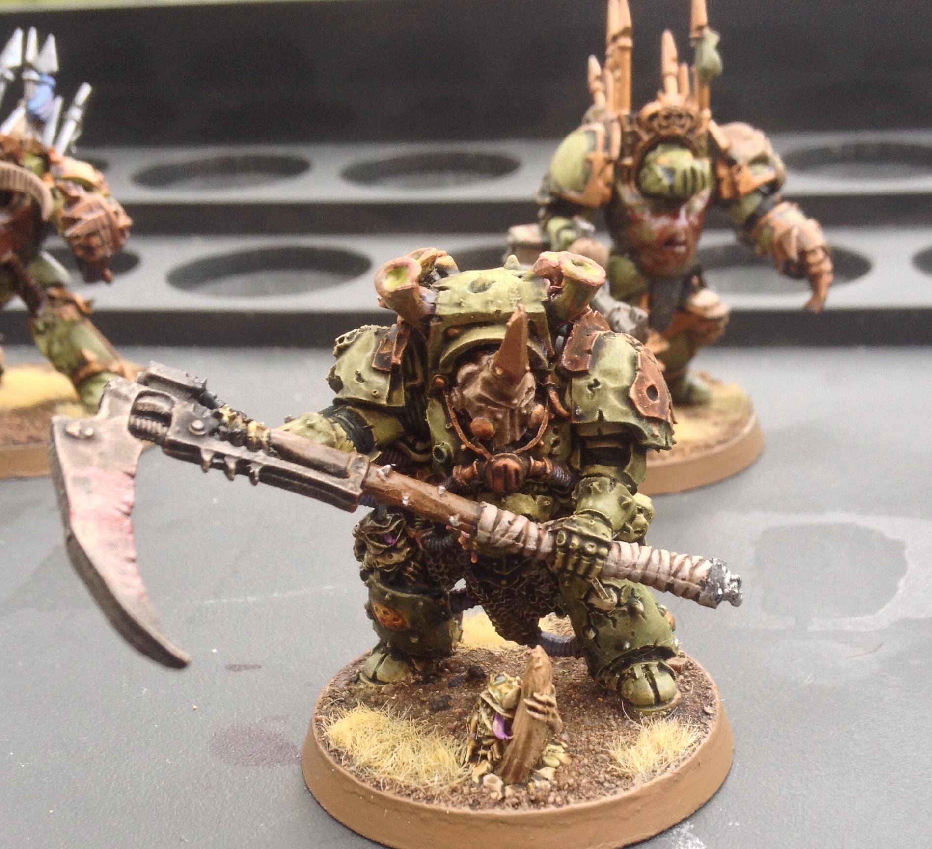 Typhus, Typhus