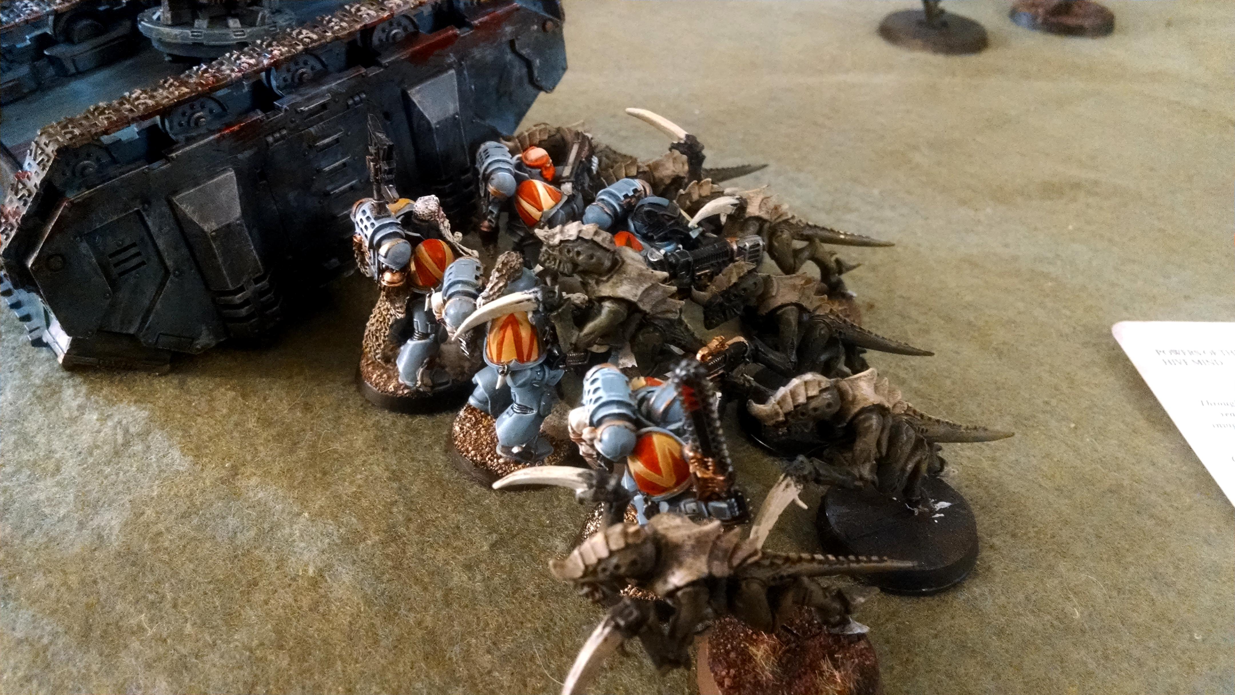 Hold the Line!!!
