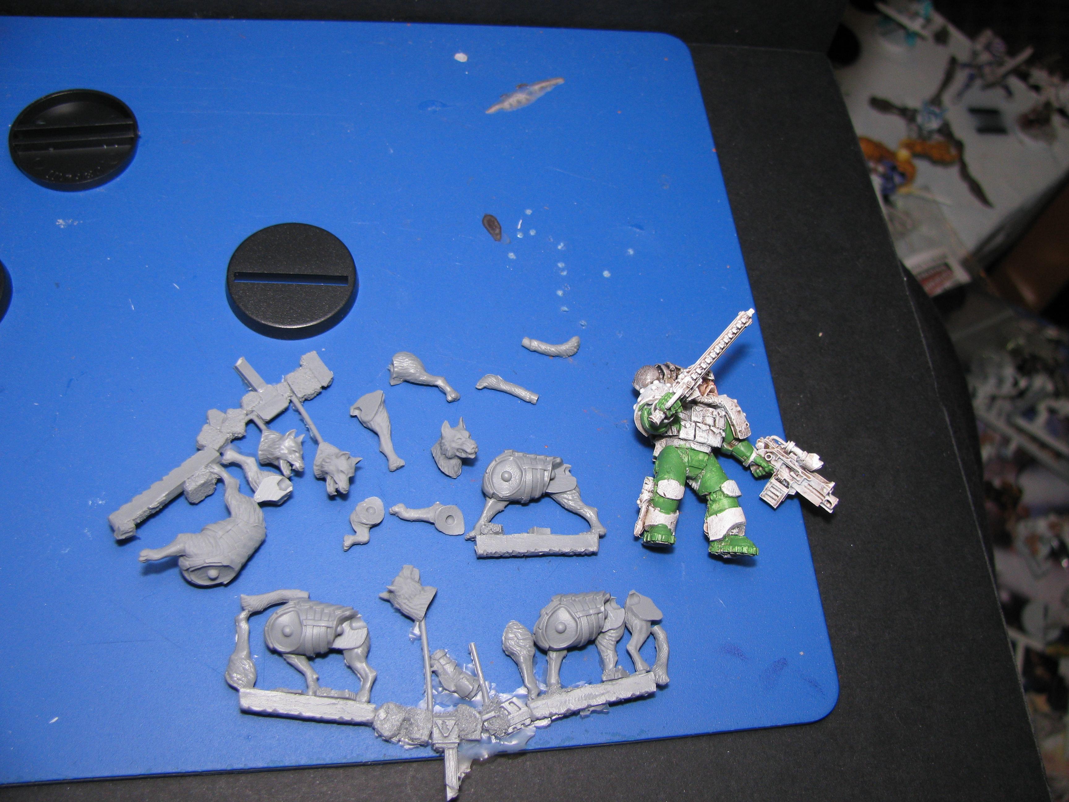 Not My Work, Salute, Anvil dog squad