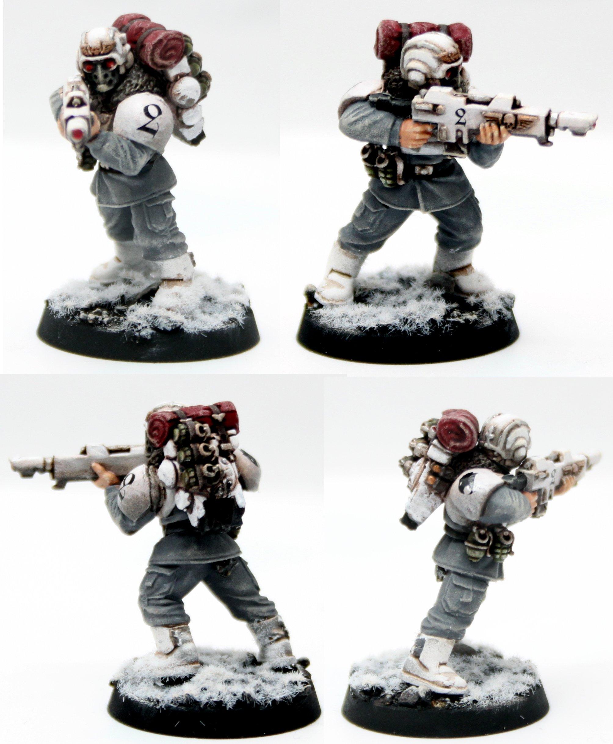 Guard, Imperial, Veteran, White Scheme