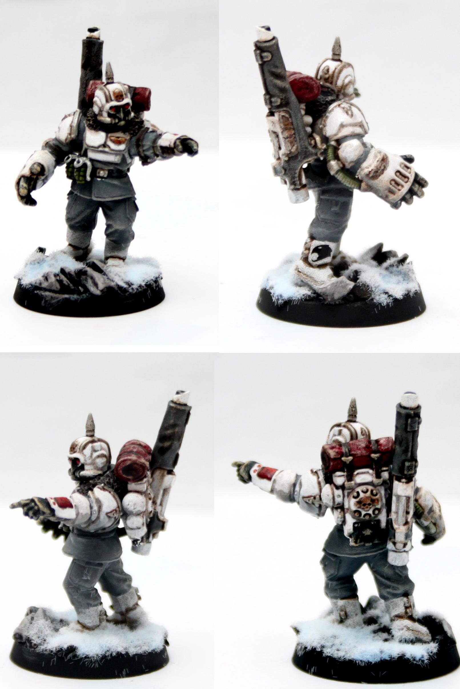 Guard, Guard Power Fist, Imperial, Power Fist, Snow, Veteran, White Scheme