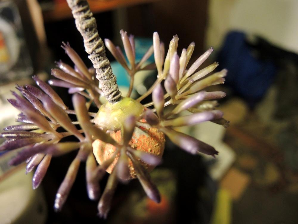 Alien Jungle, Commission, Commissions, Terrain, Waaazag, Work In Progress