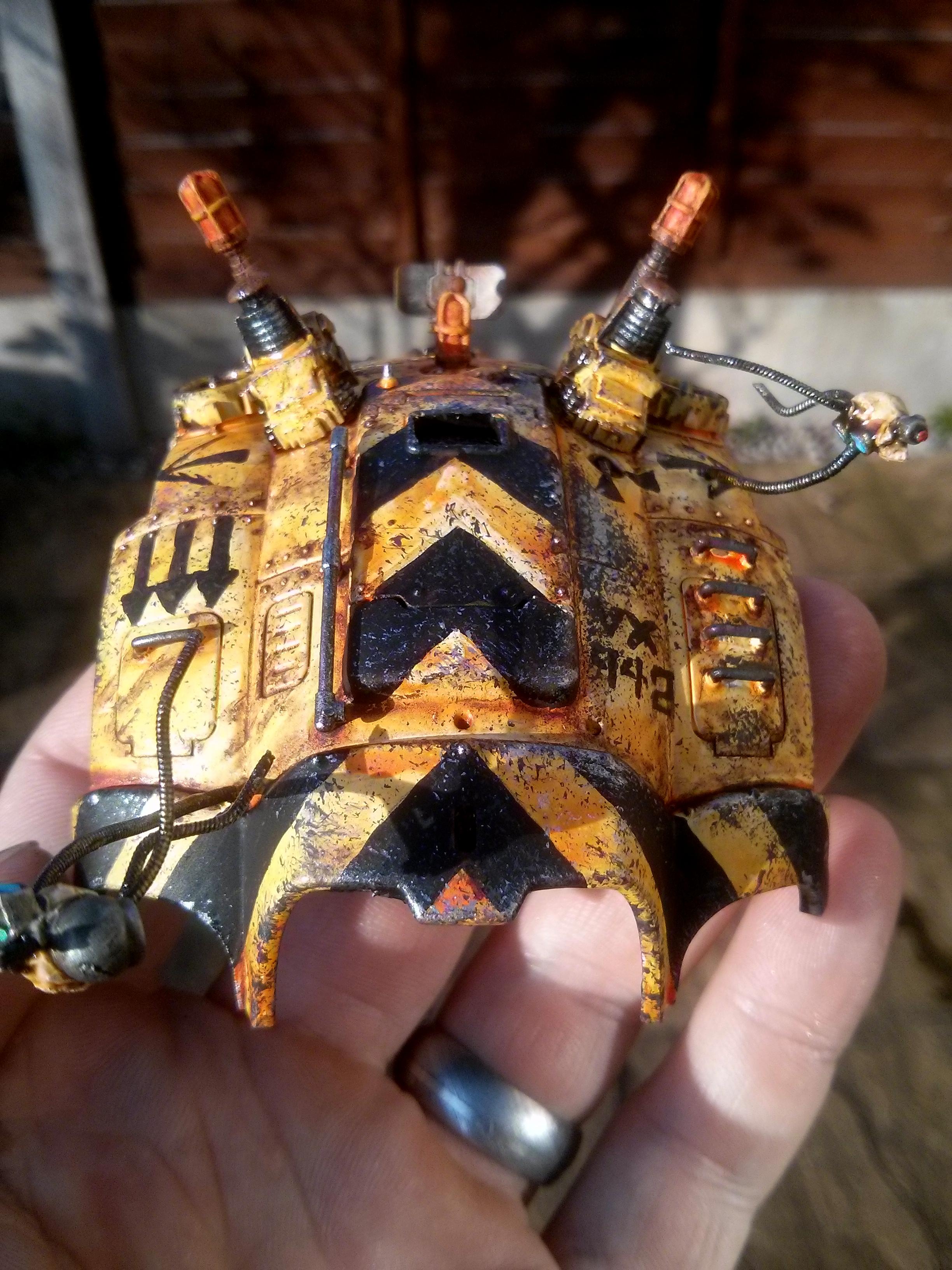 carapace