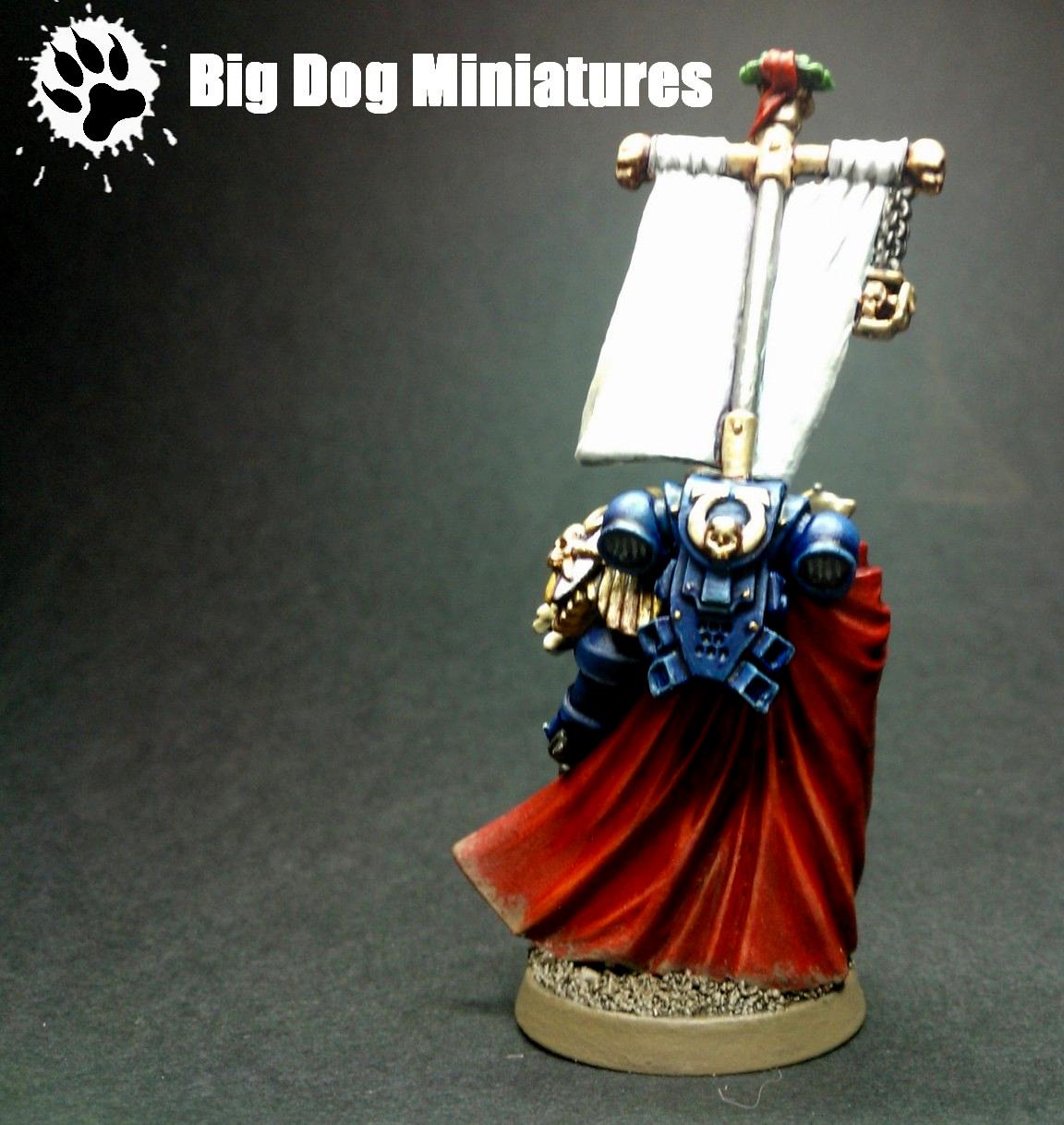 Big Dog Miniatures, Commission, Sicarius, Ultramarines