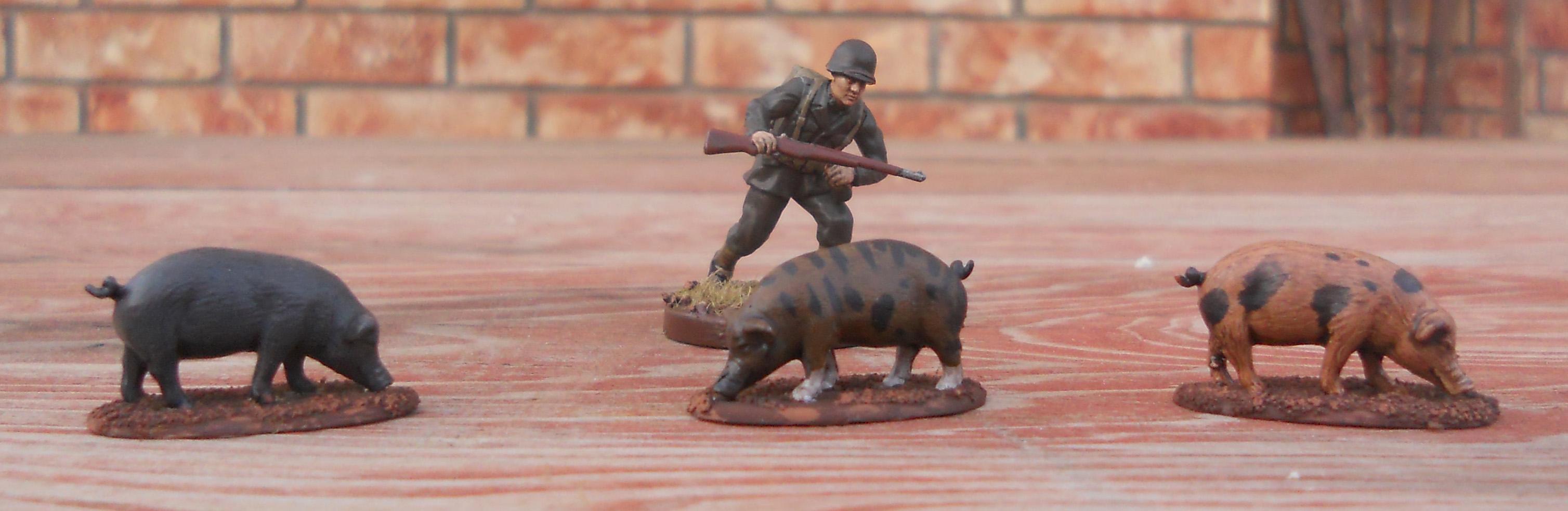 Historical, pigs