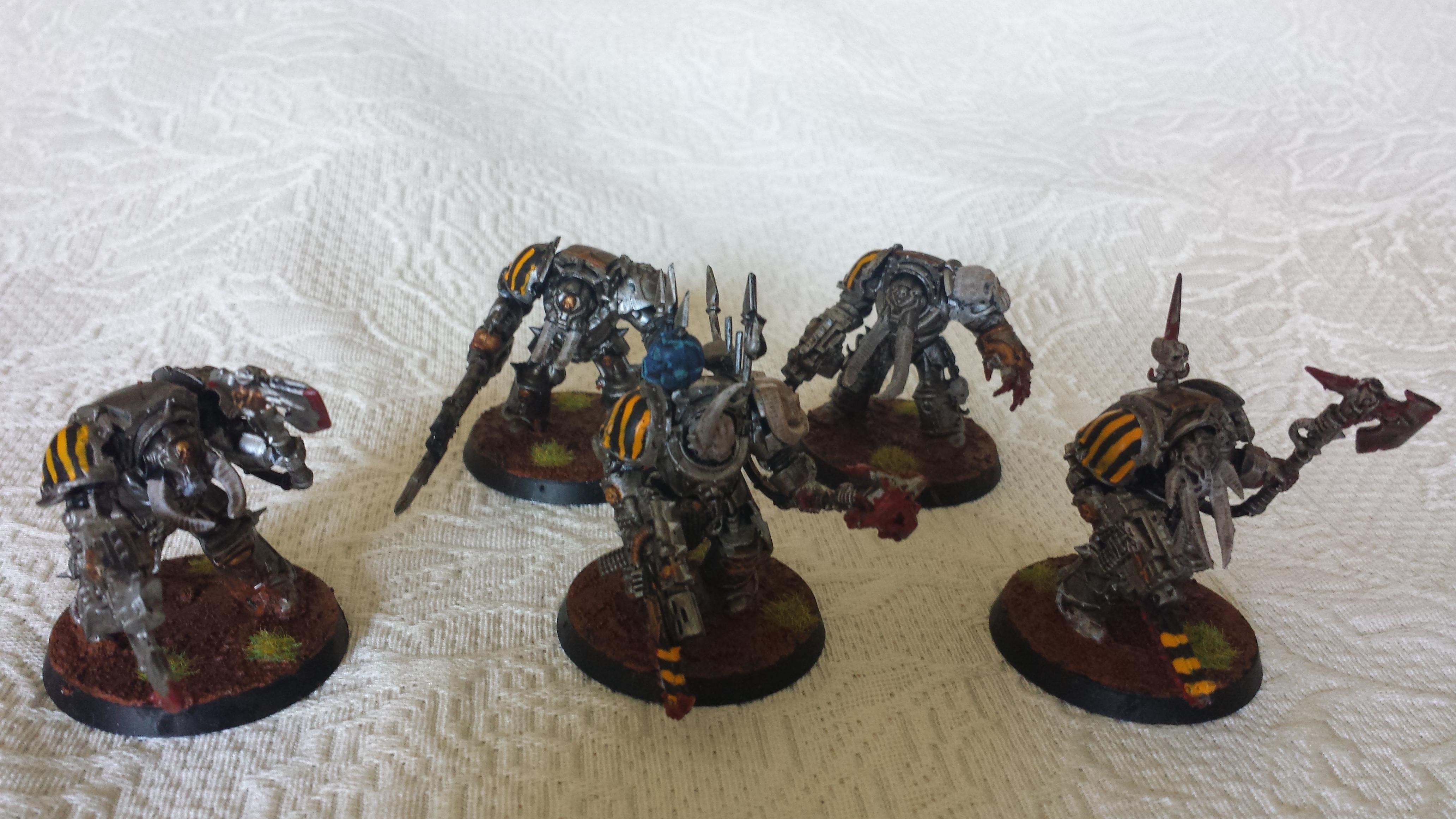 termies x5