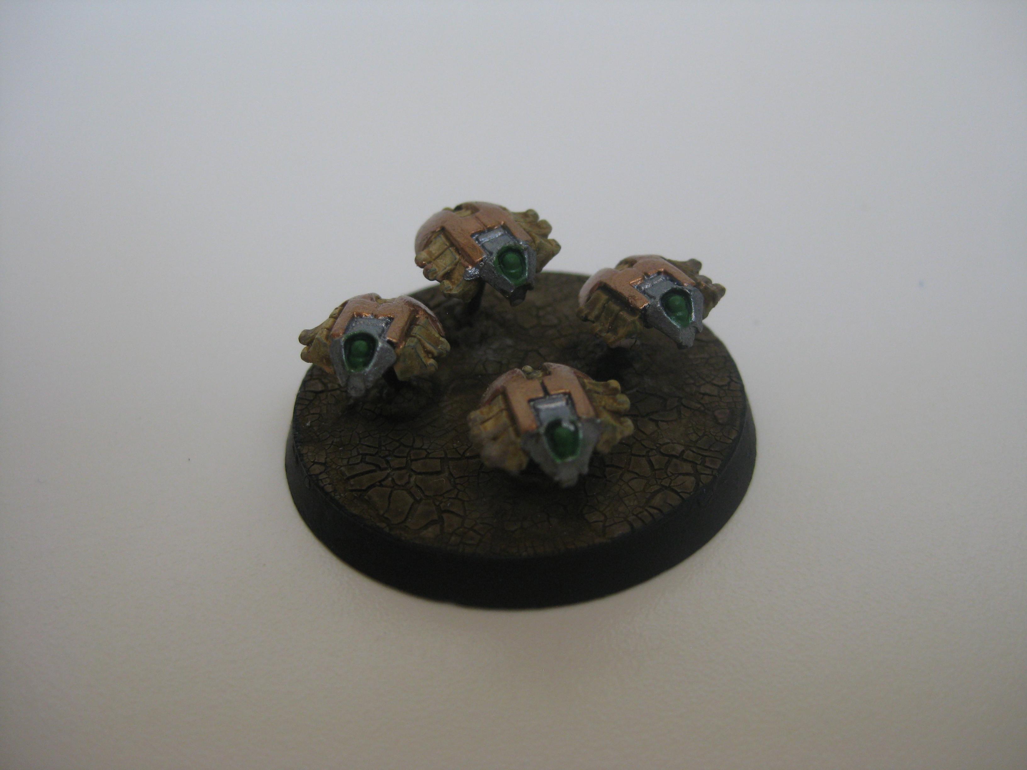 Scarab 