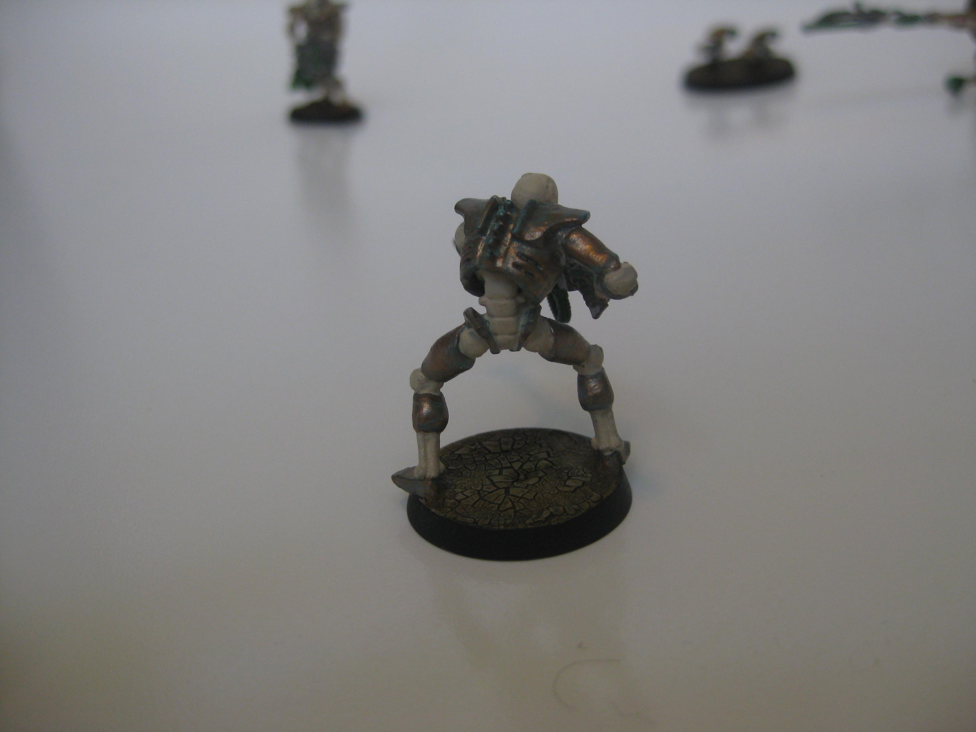 warrior back view