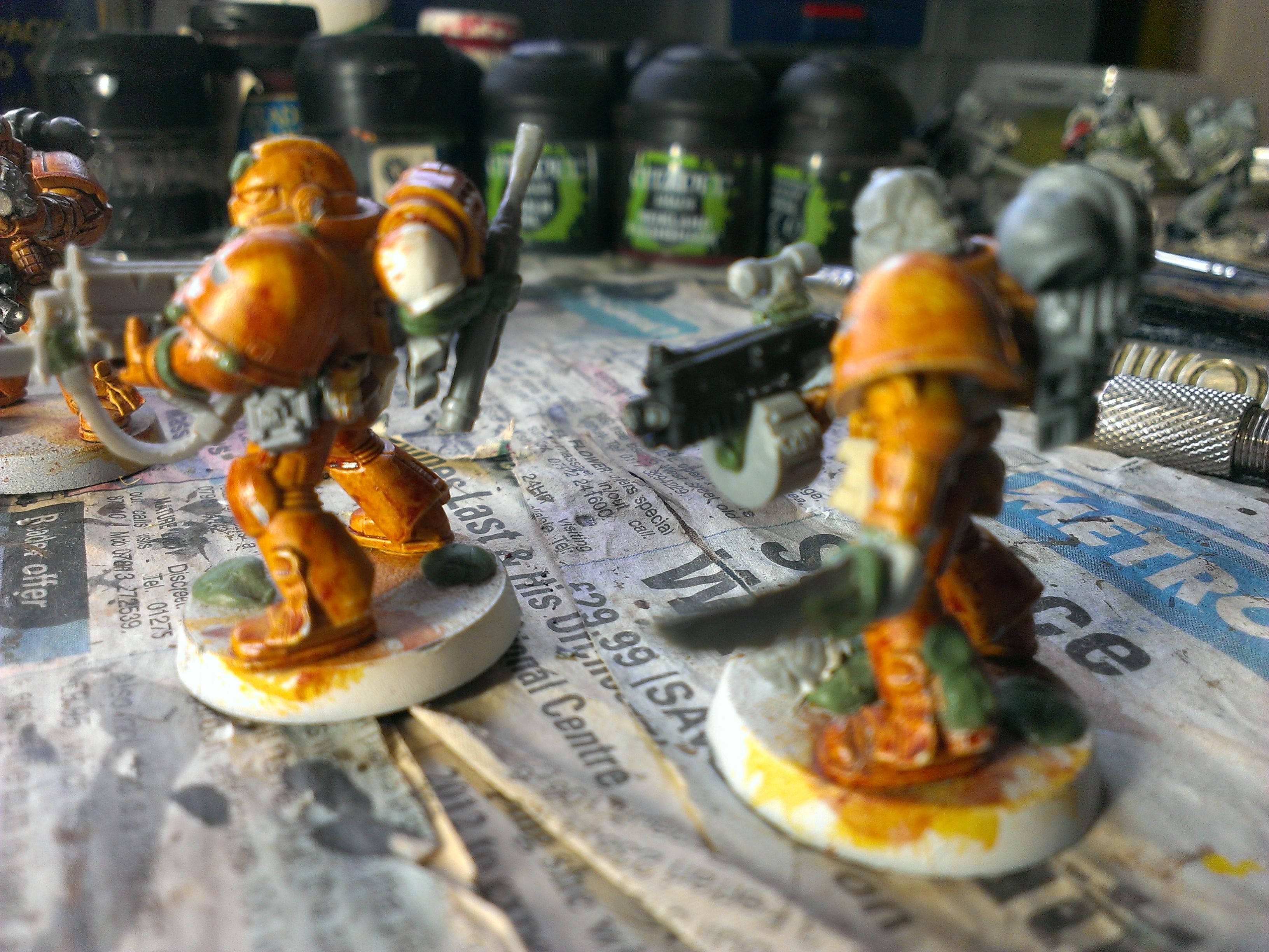 Space Marines, Sternguard, Tyrranic War Veterans, Ultramarines, Work In Progress