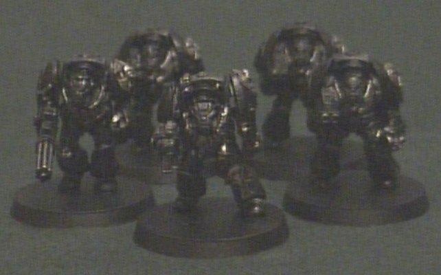 Daritolan Squad