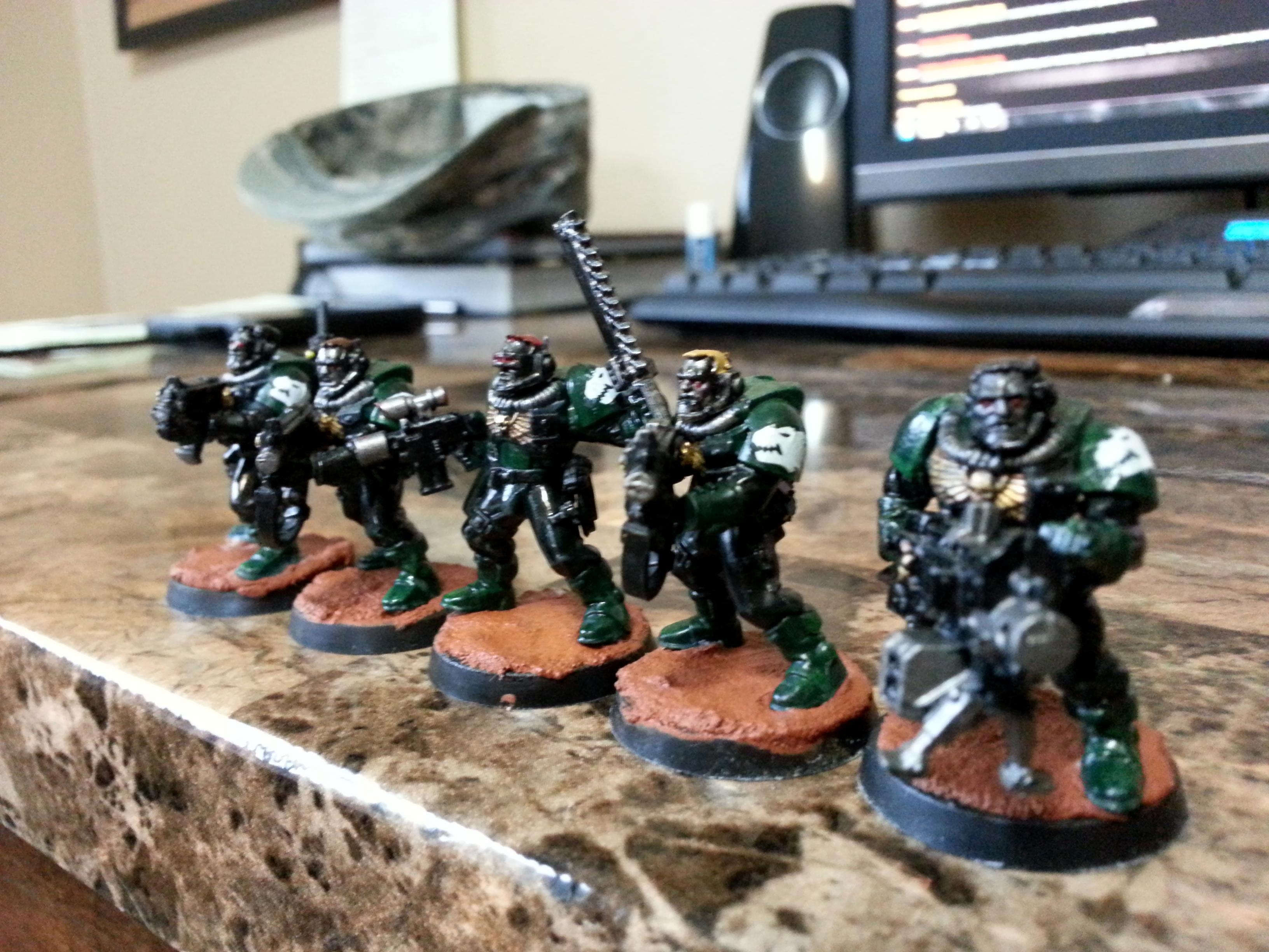 Salamanders, Sallies, Scouts