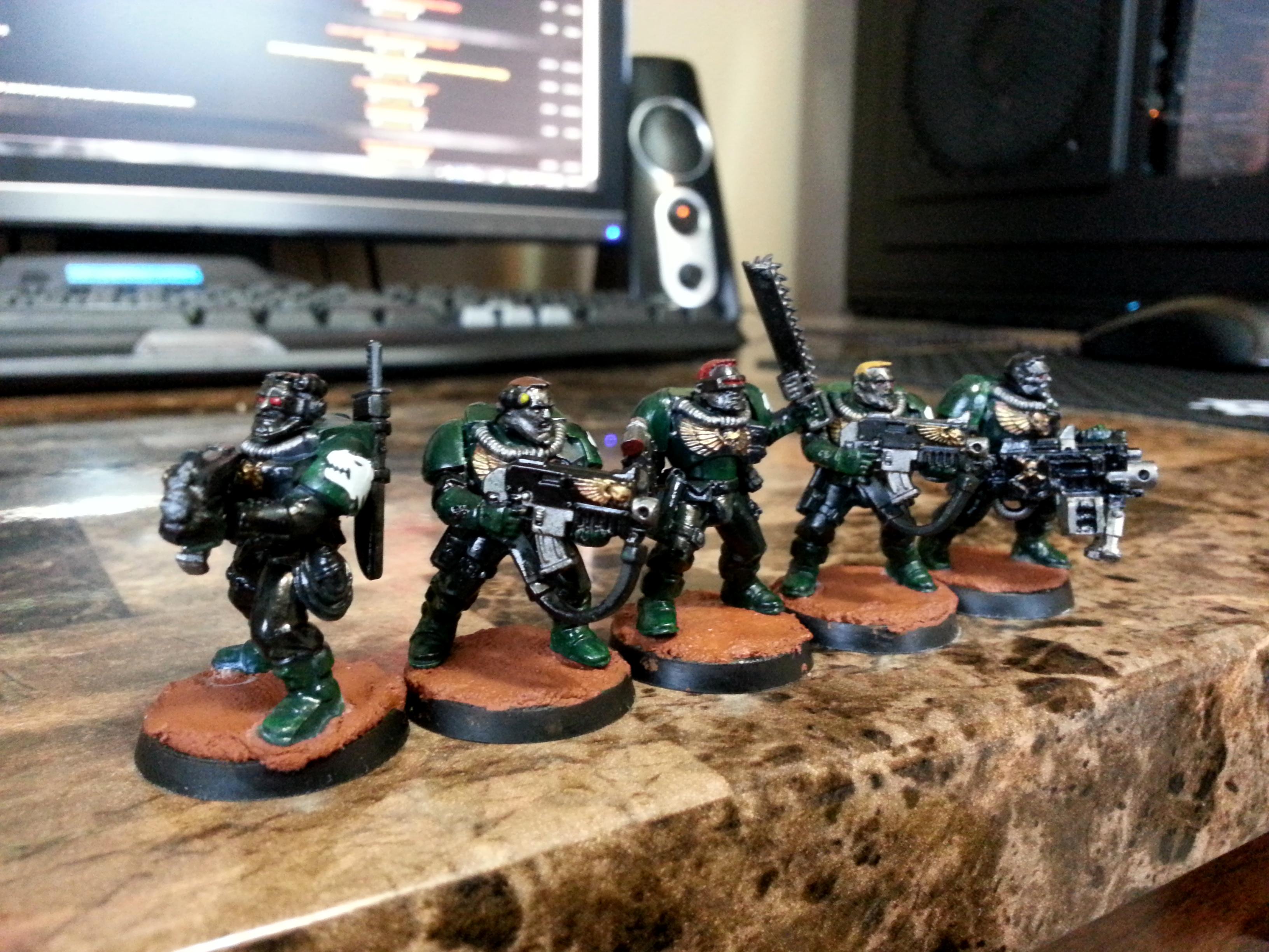 Salamanders, Sallies, Scouts