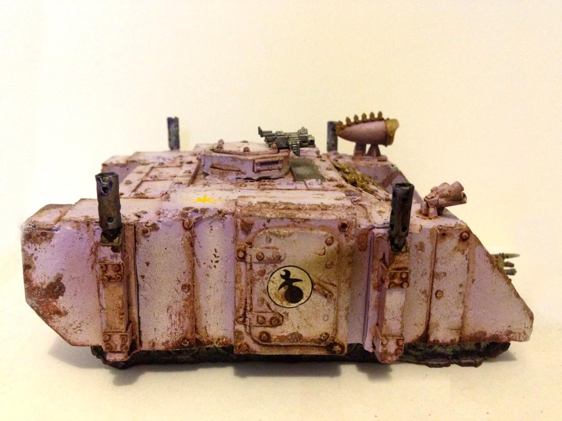 NM Rhino 2