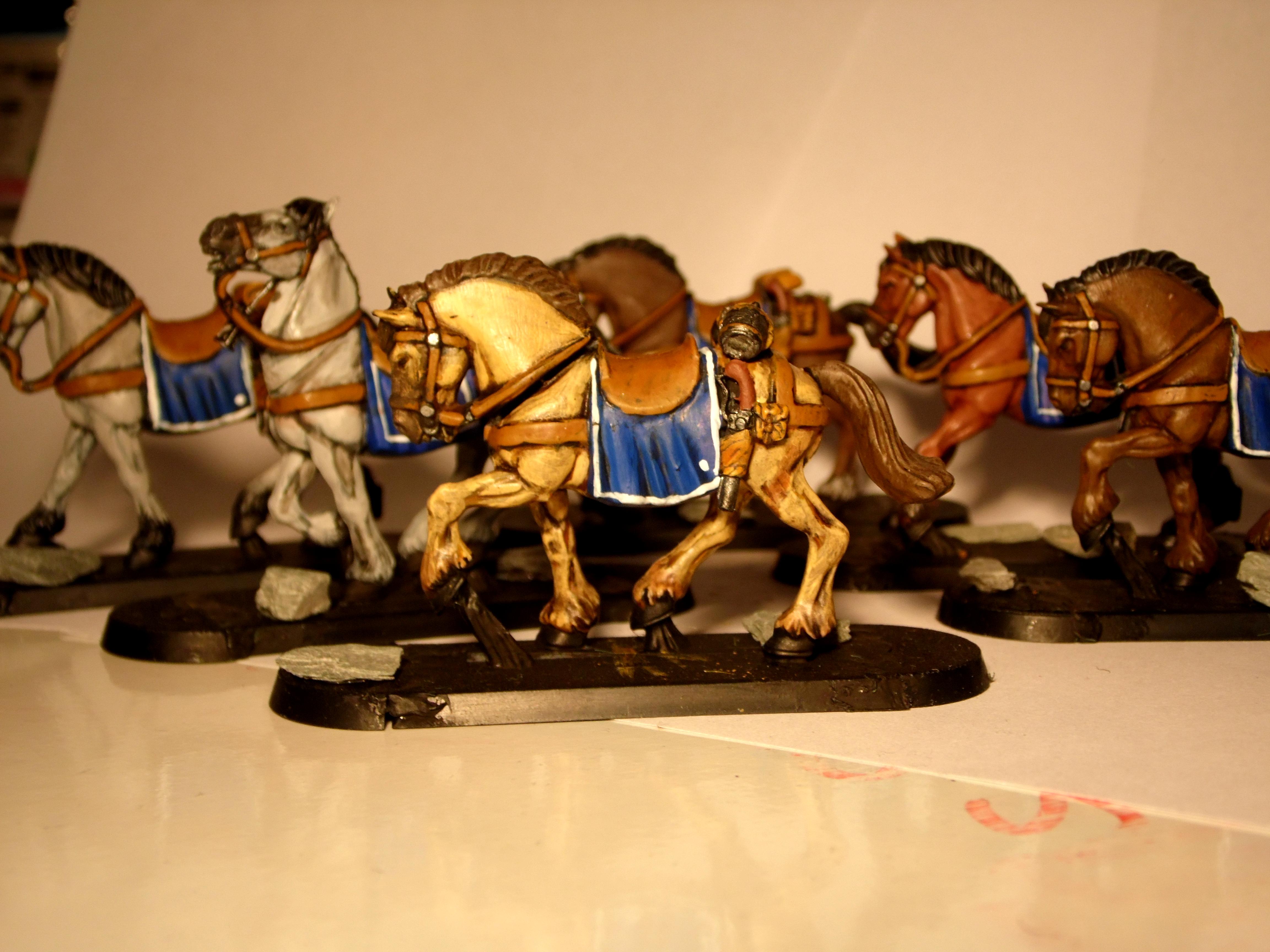Highlander, Imperial Guard, Rough Riders