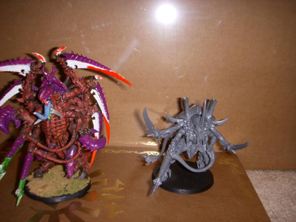 Quite Big, Size Comparison to regular Tyrant