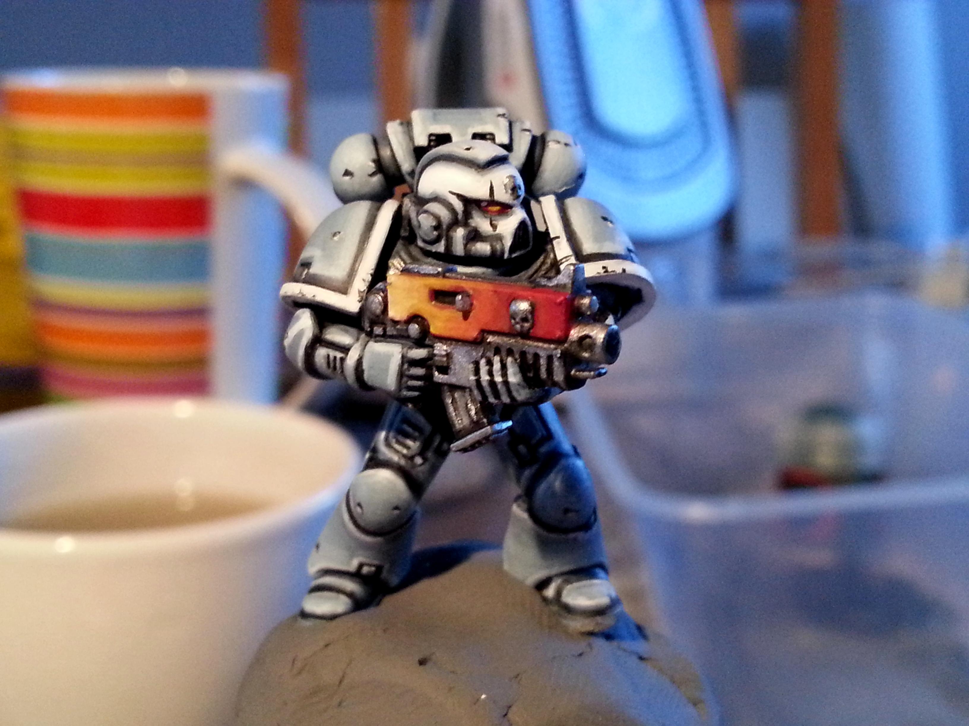 Beginner, Space Wolves