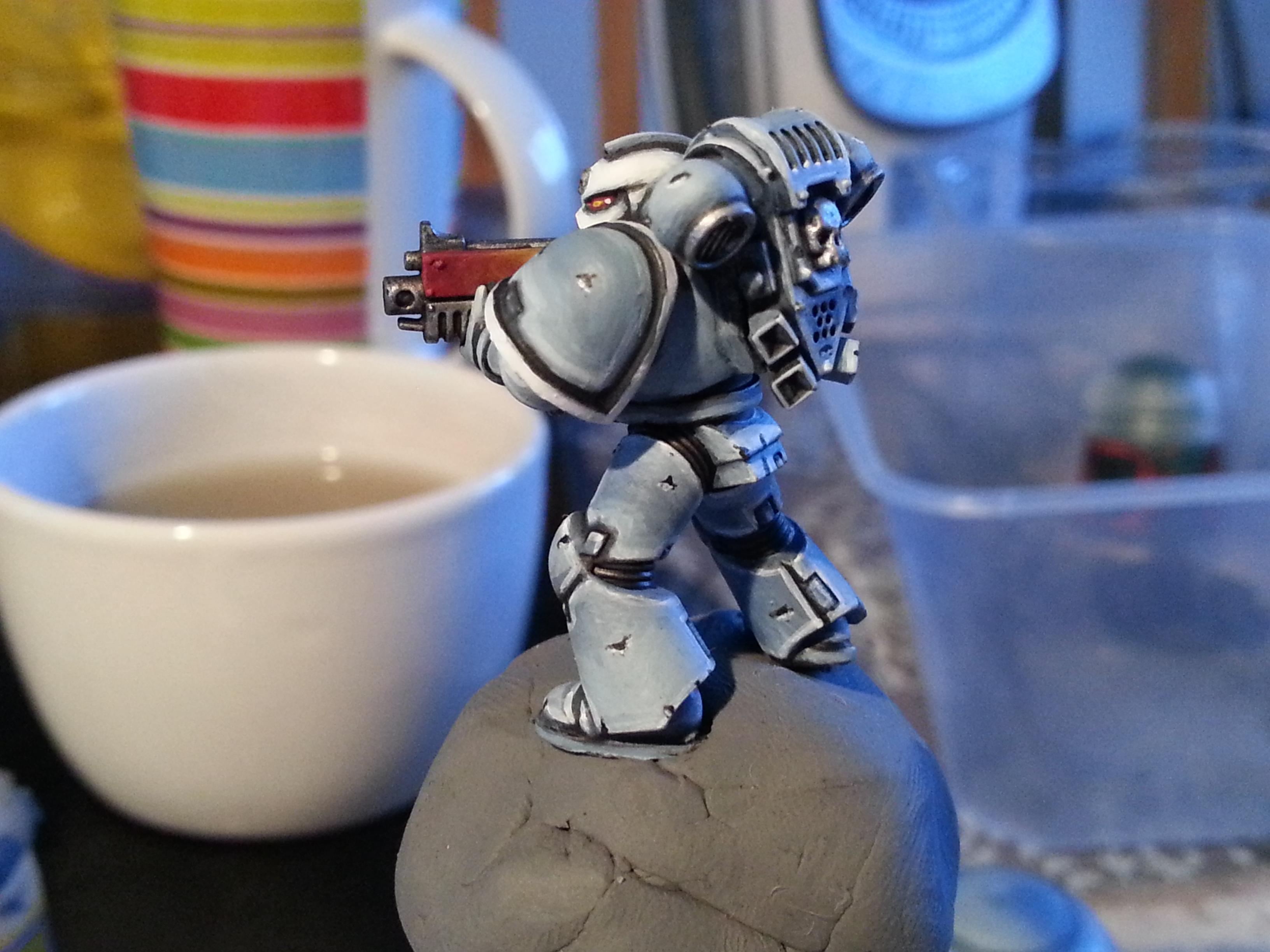 Beginner, Space Wolves