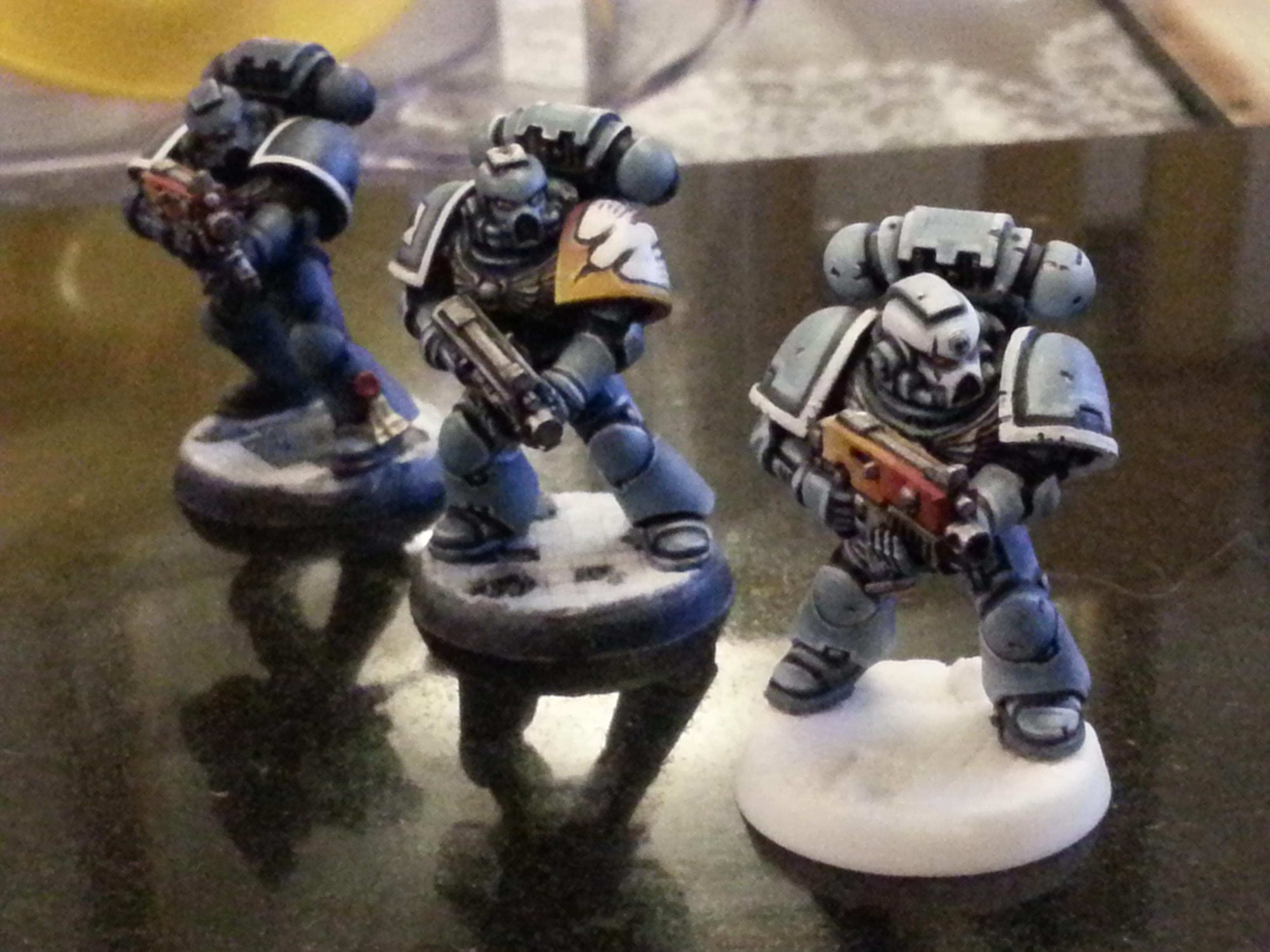 Beginner, Space Wolves