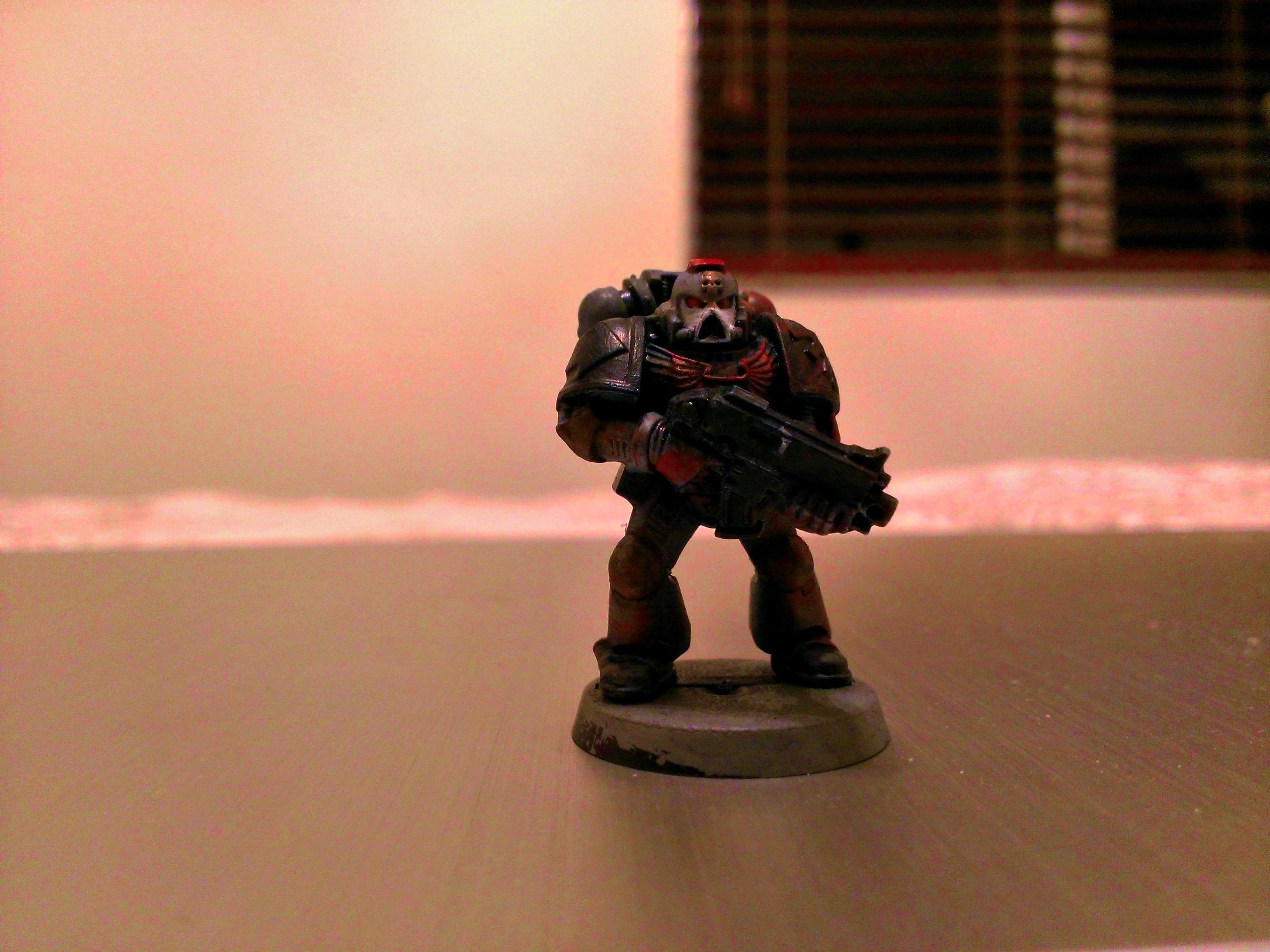 Carcharodons, Space Marines, Space Sharks