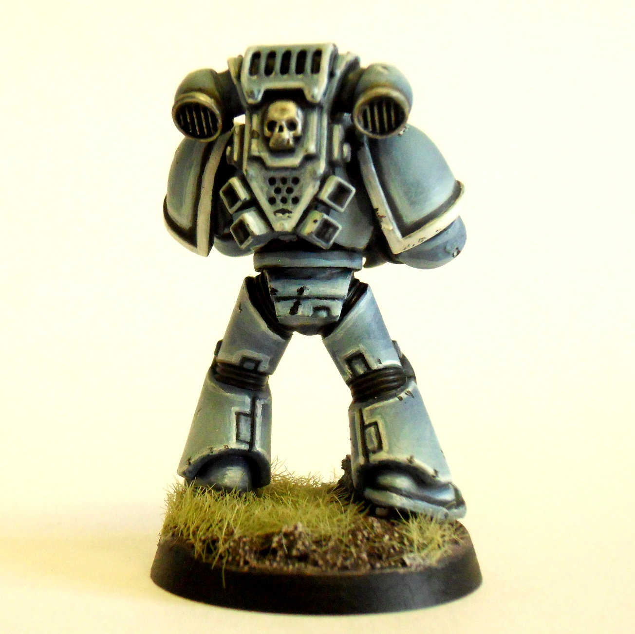Base, Beginner, Blue, Space Marines, Space Wolves