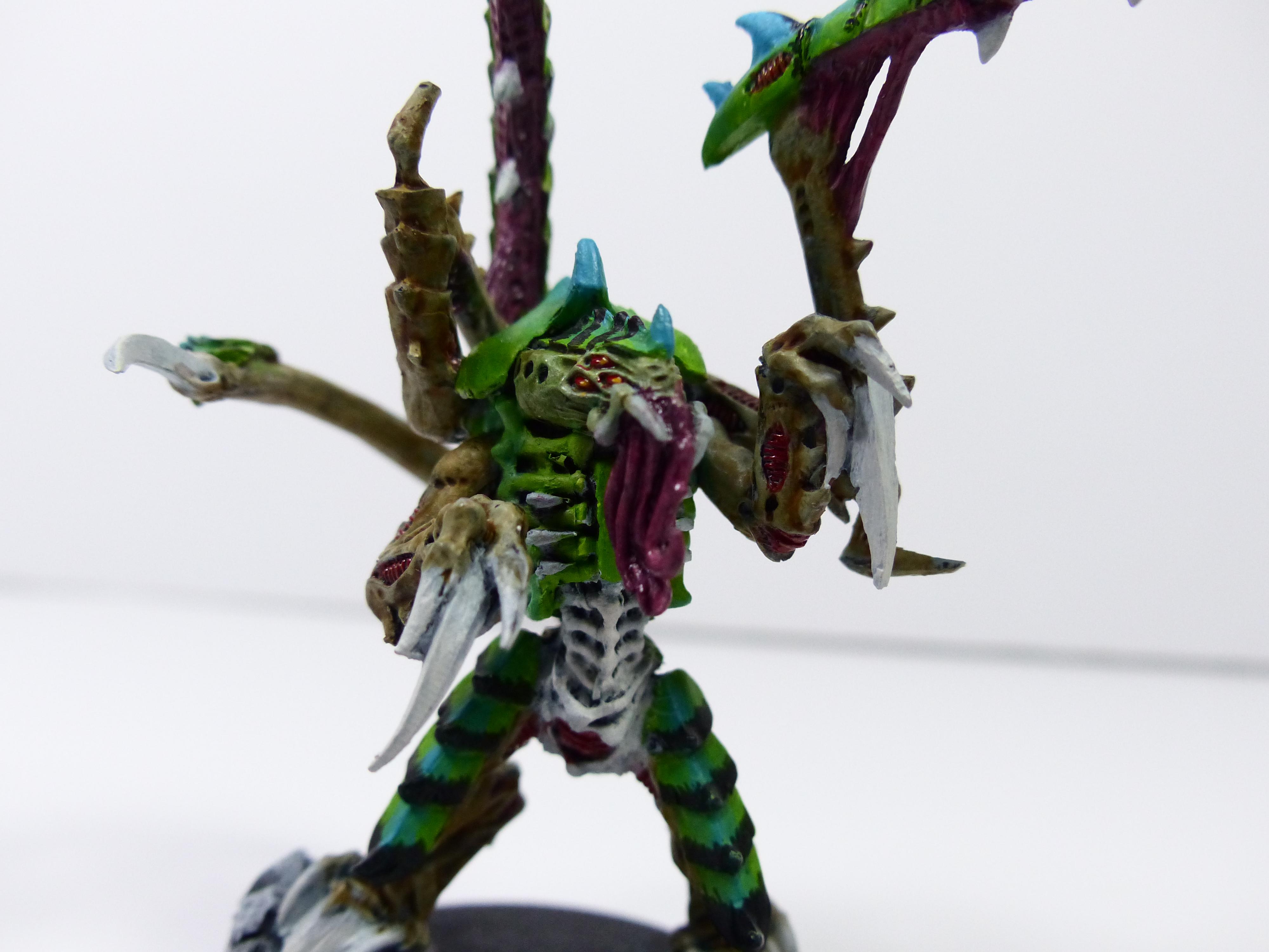 Deathleaper, Lictor, Trygon, Trygon Prime, Tyranids