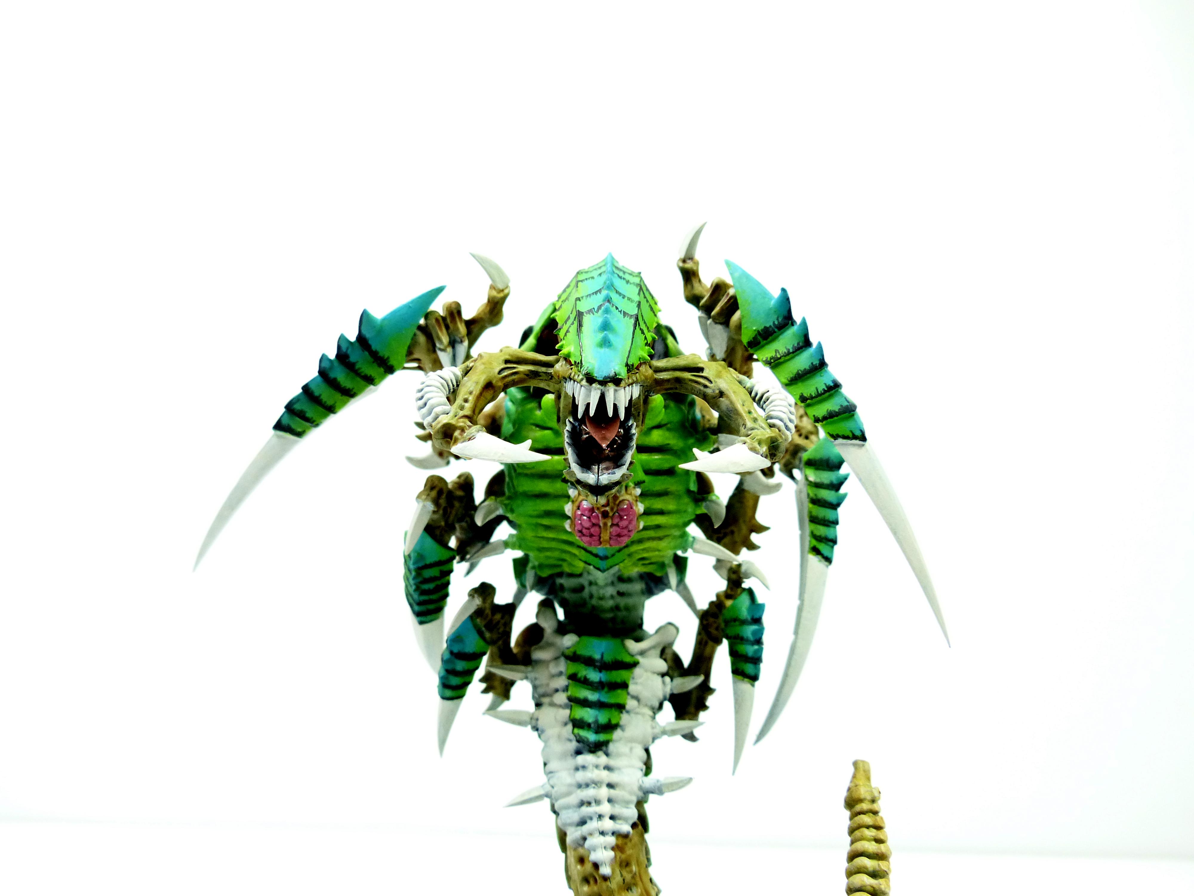 Deathleaper, Lictor, Trygon, Trygon Prime, Tyranids