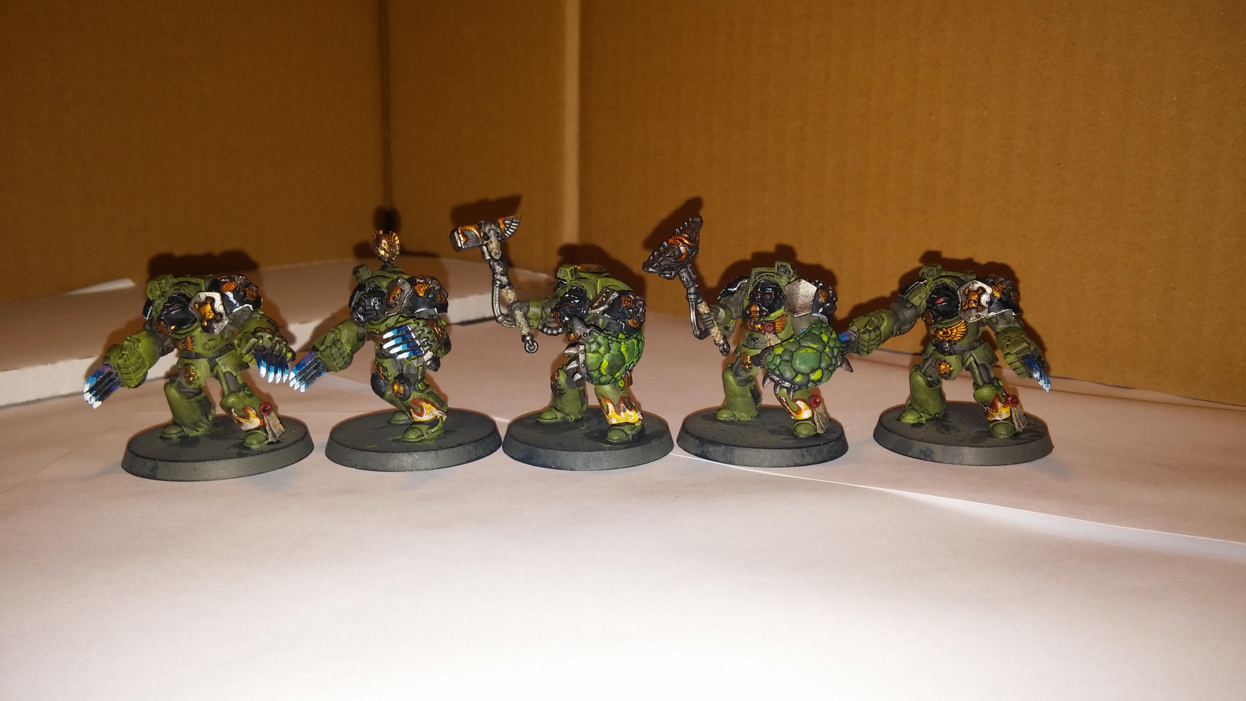 Salamanders, Termiators
