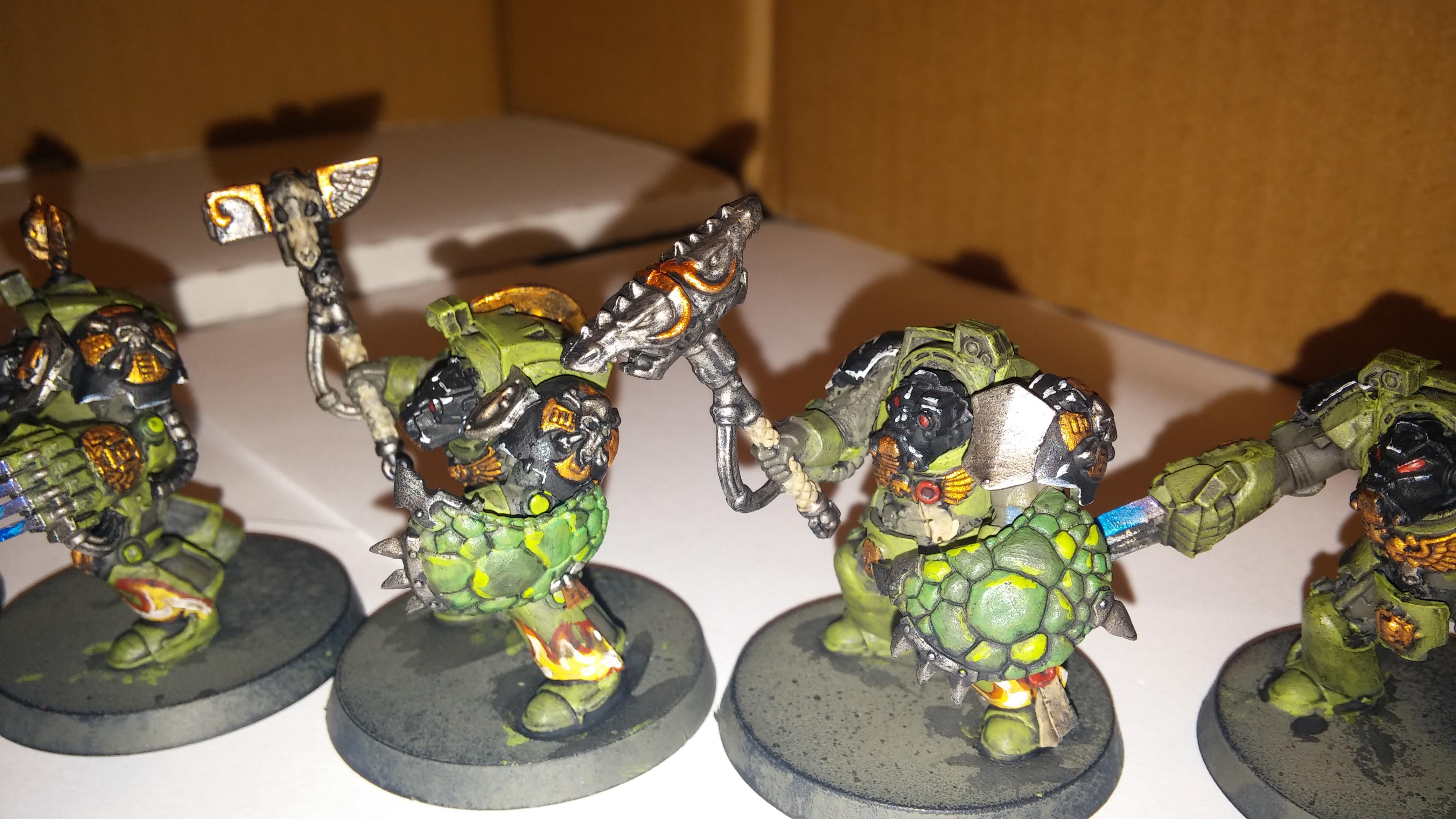 Salamanders, Termiators