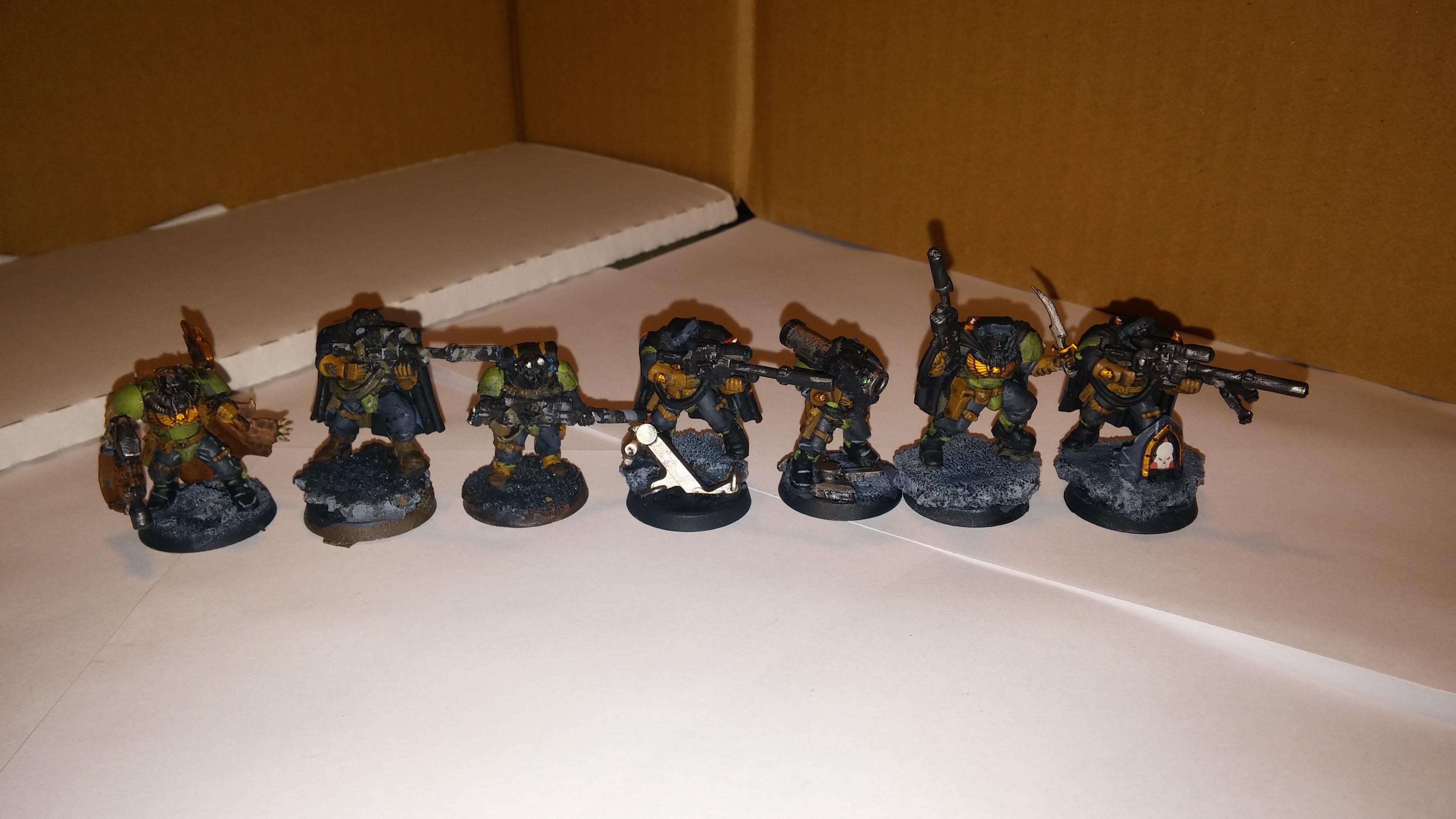 Salamander Scouts