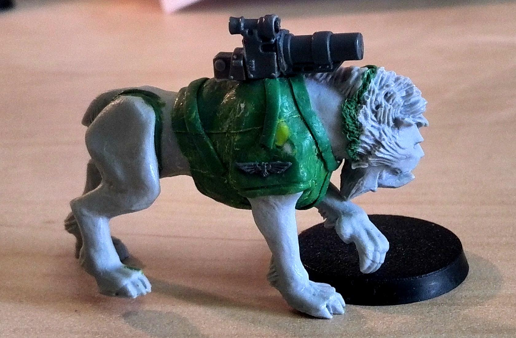 Bodyguard, Conversion, Sabretusk