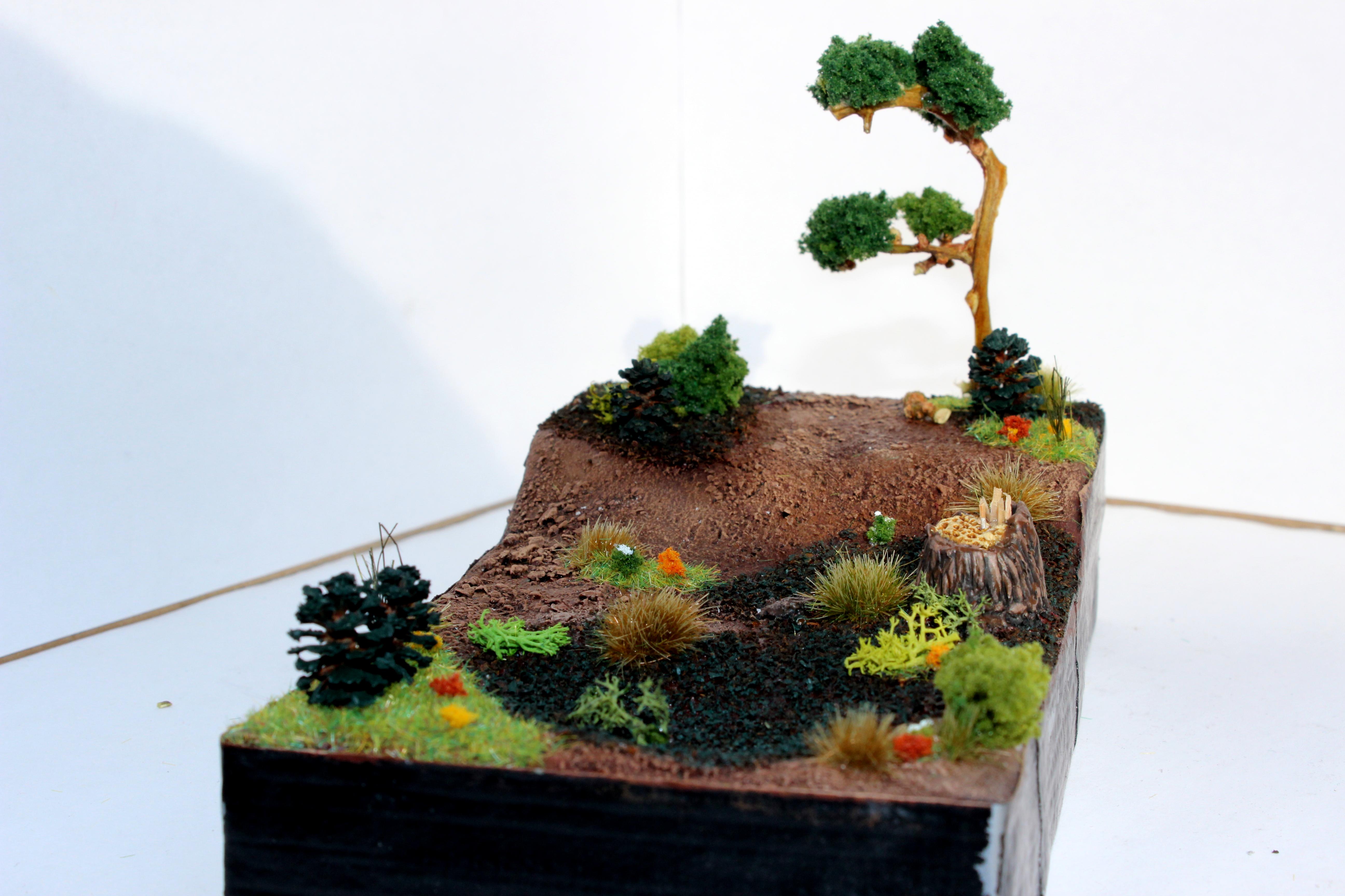 Forest diorama
