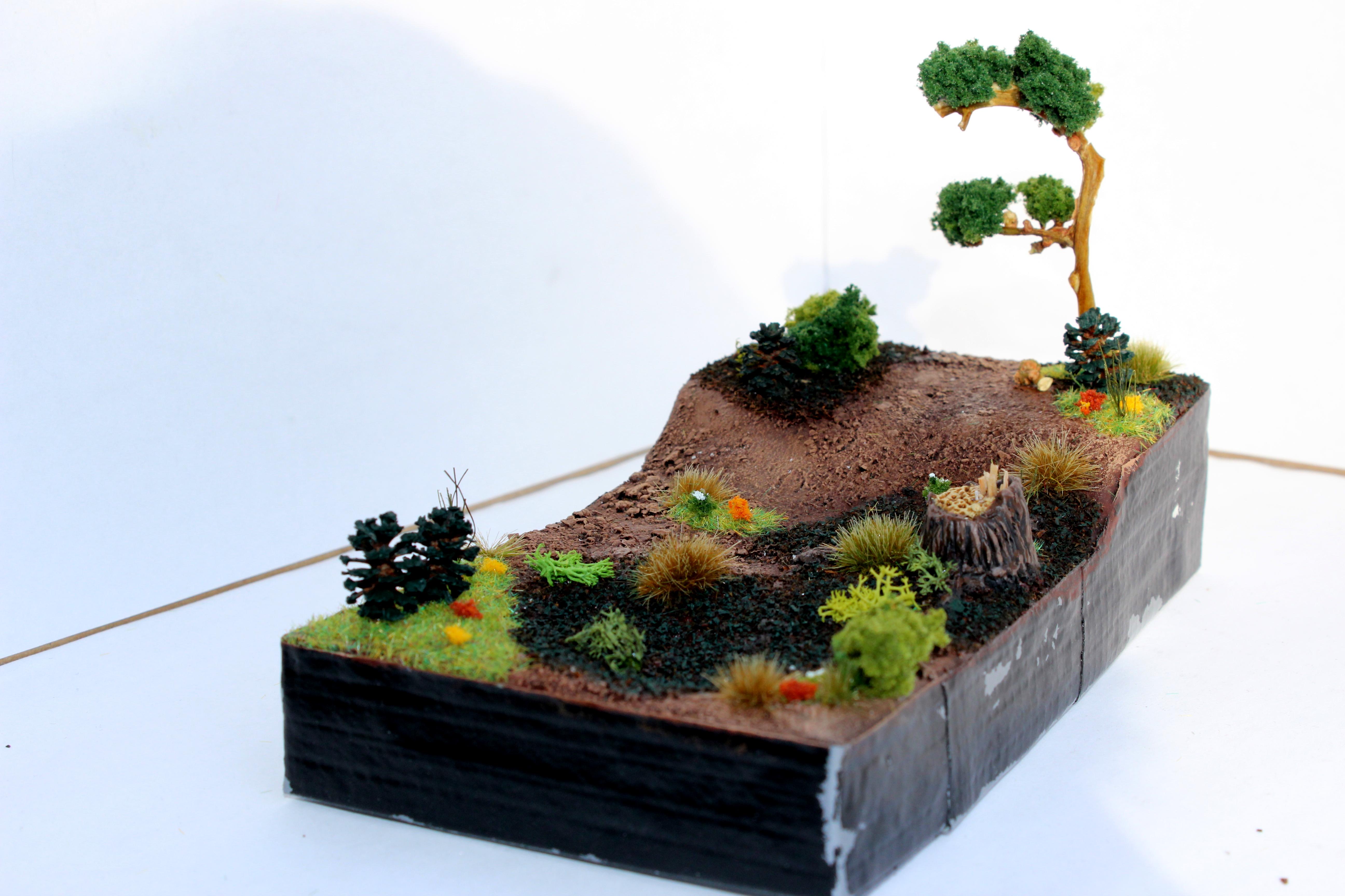 Forest diorama