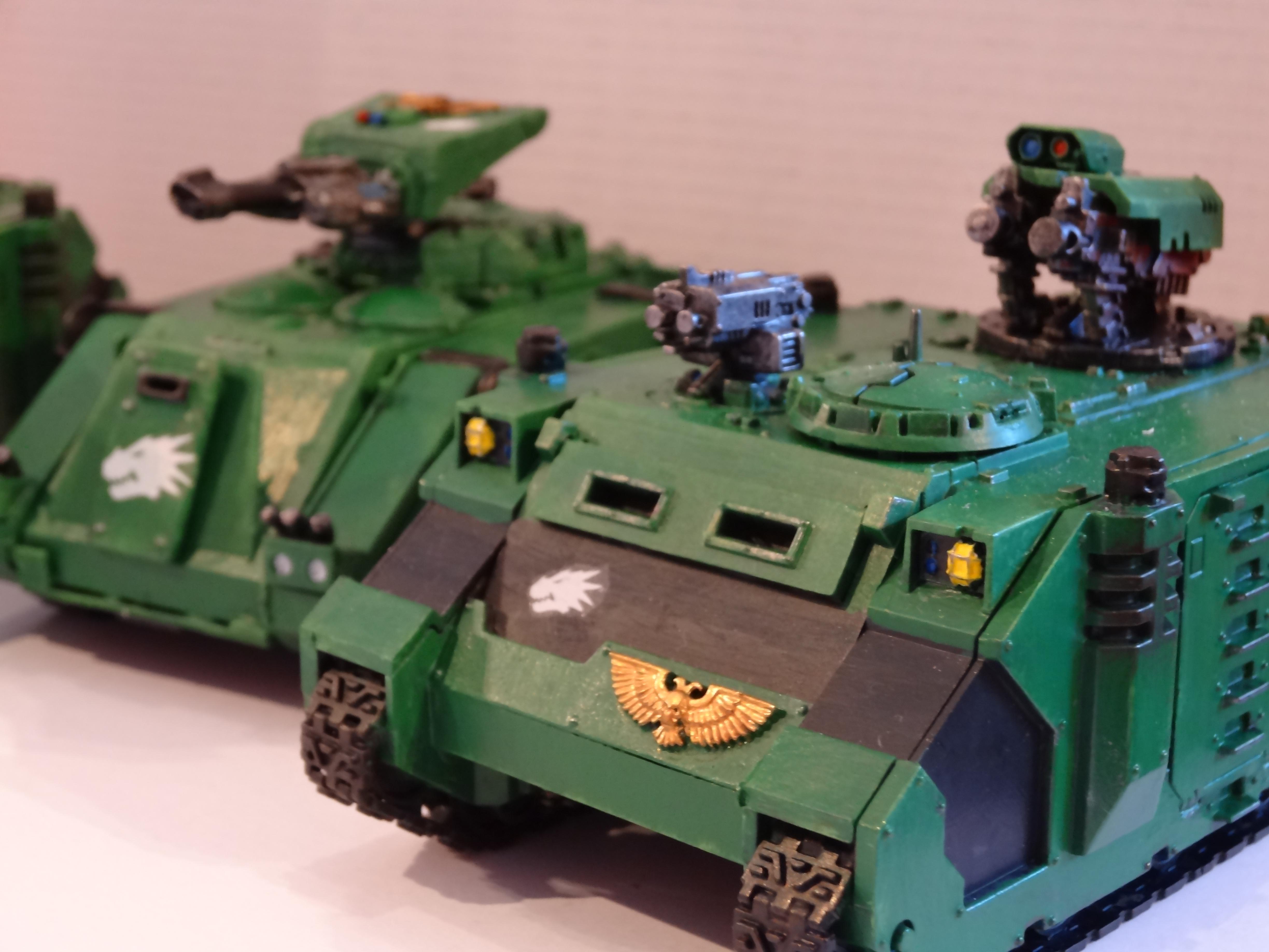 Salamander Razorbacks