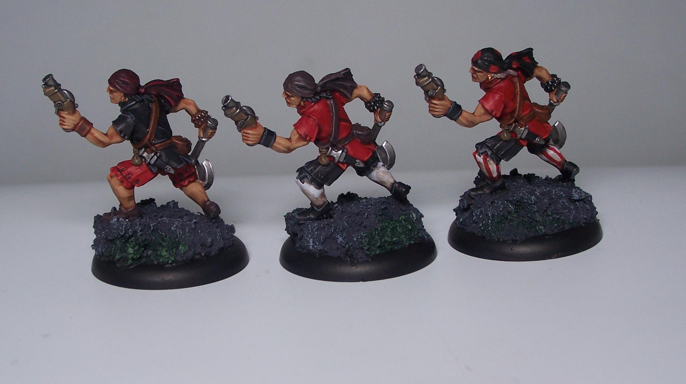 Sea dog crew 2.2