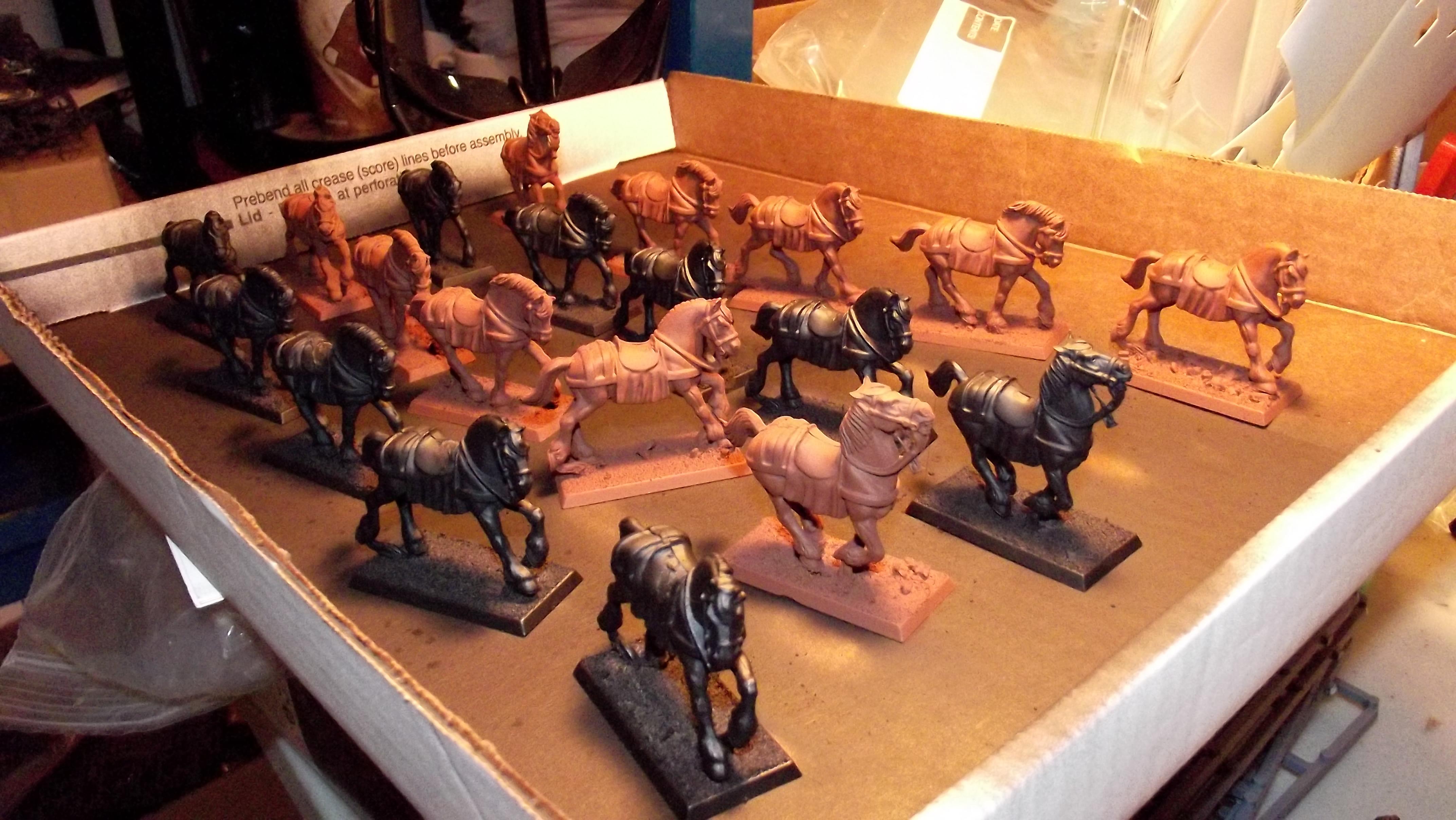 Rough Riders, A field of horses