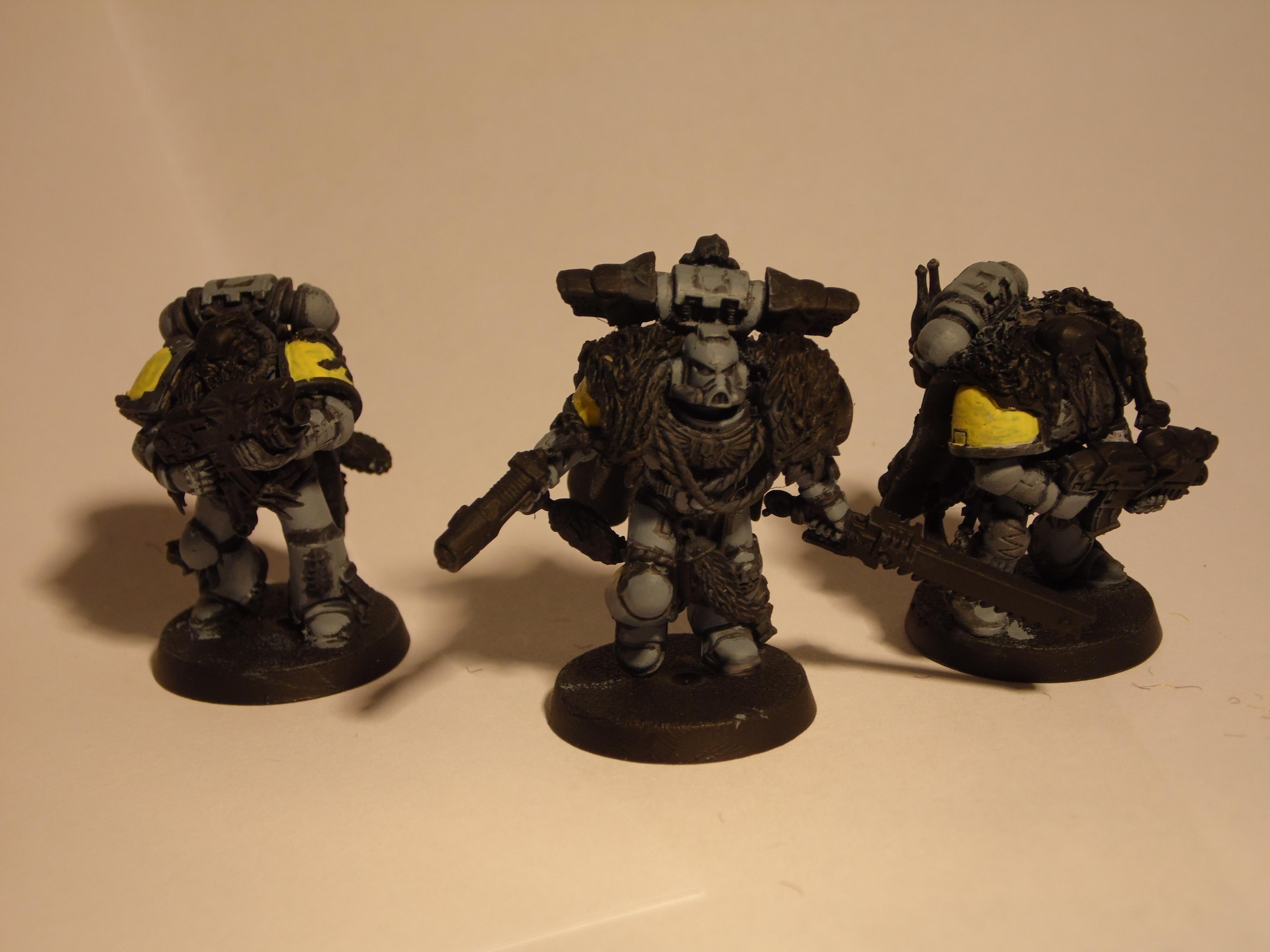 Kill Team, Space Wolves, Wolves