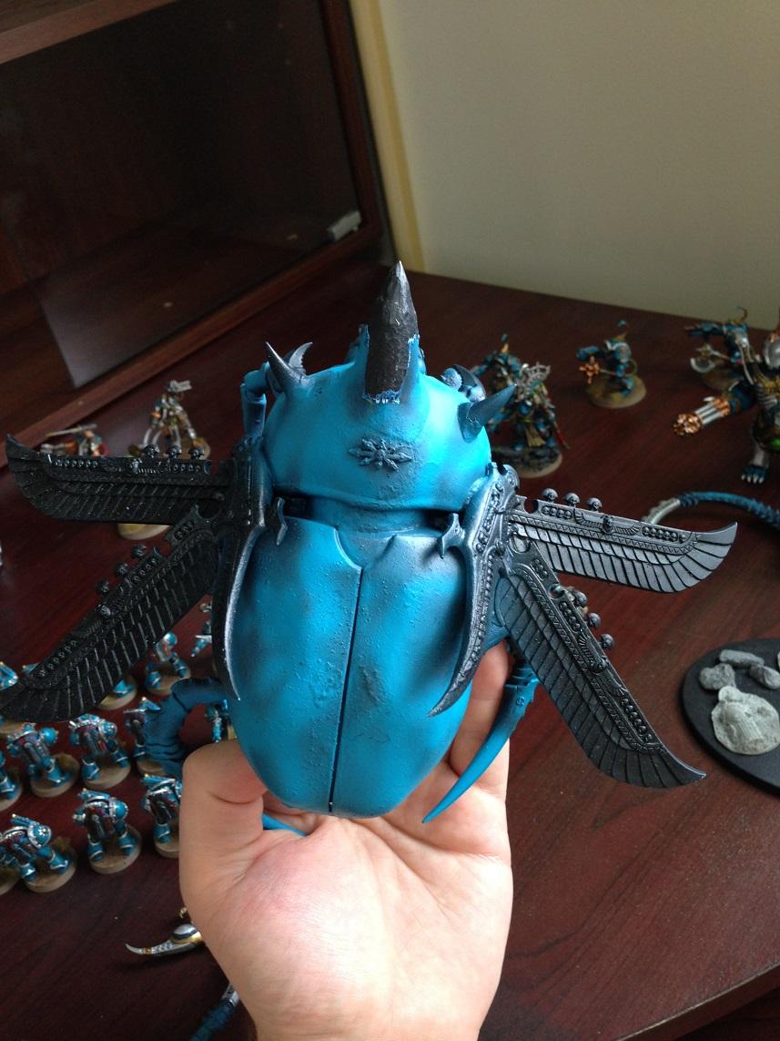 Felbeetle Back