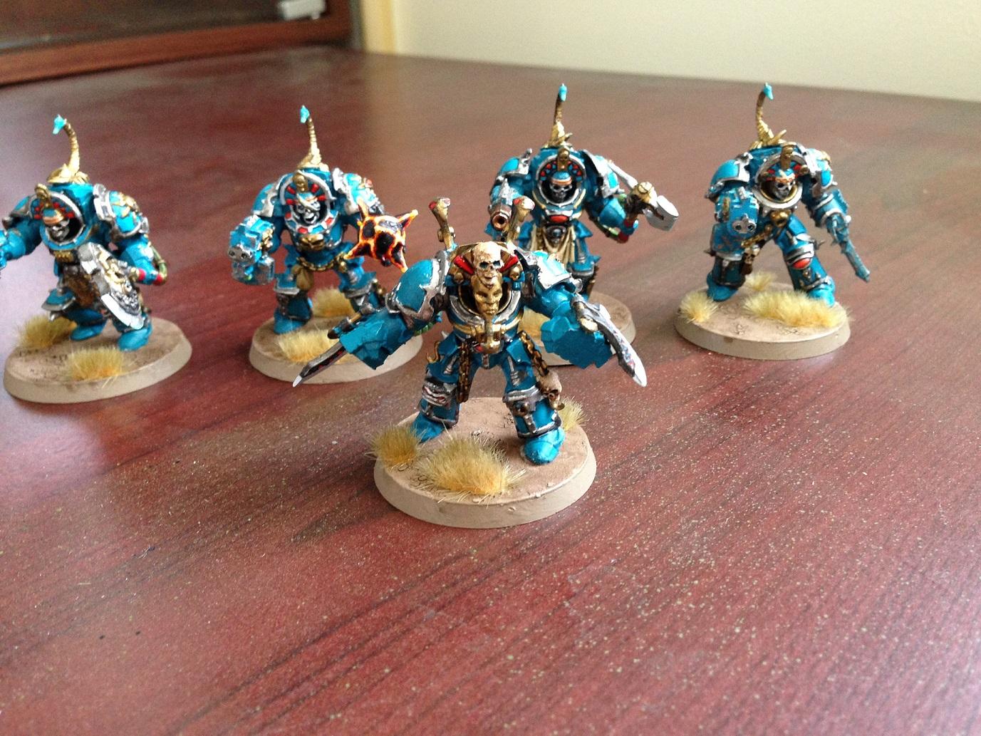 The Venom Guard (termies)