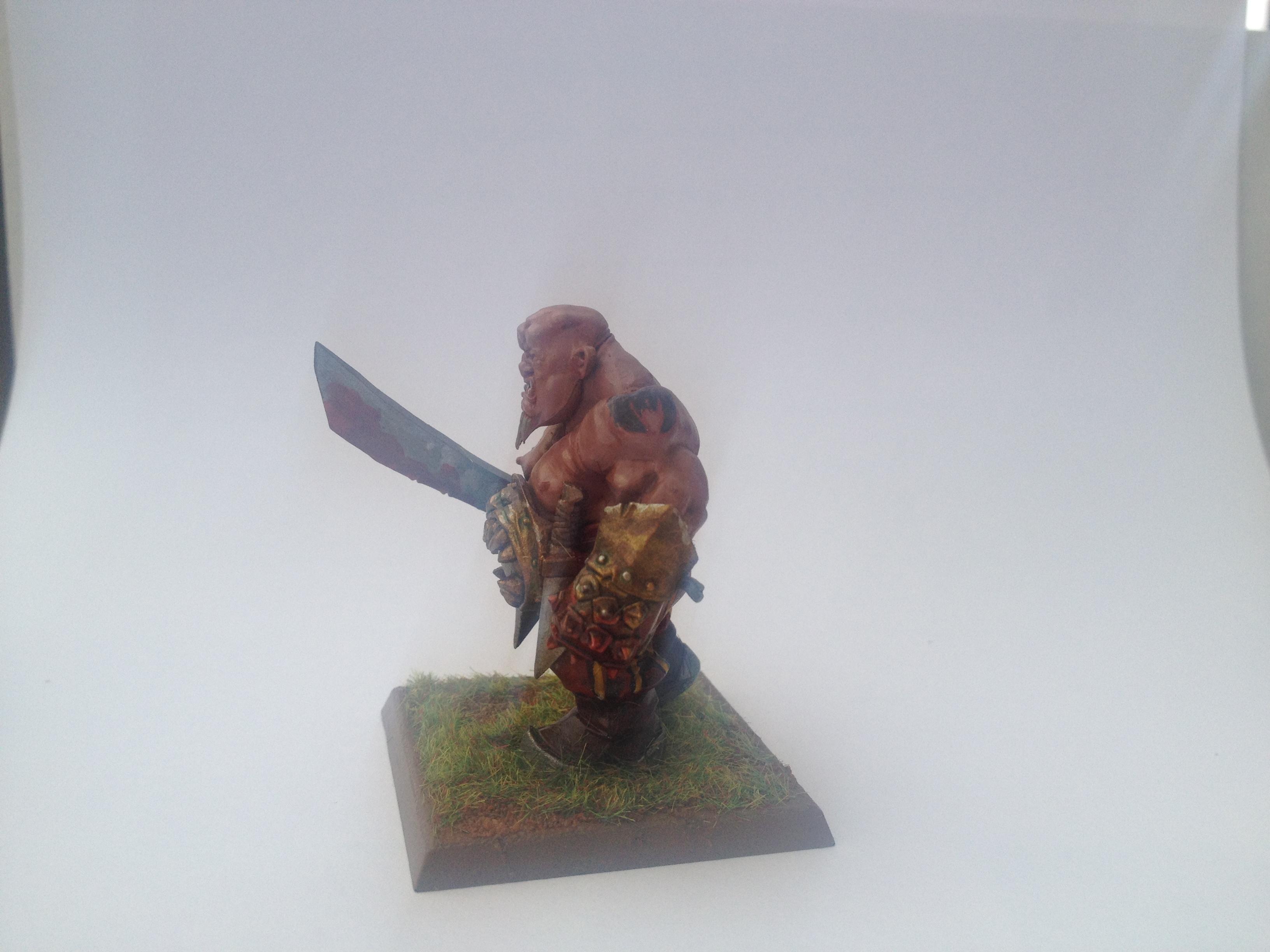 Ogre Kingdoms, Ogres