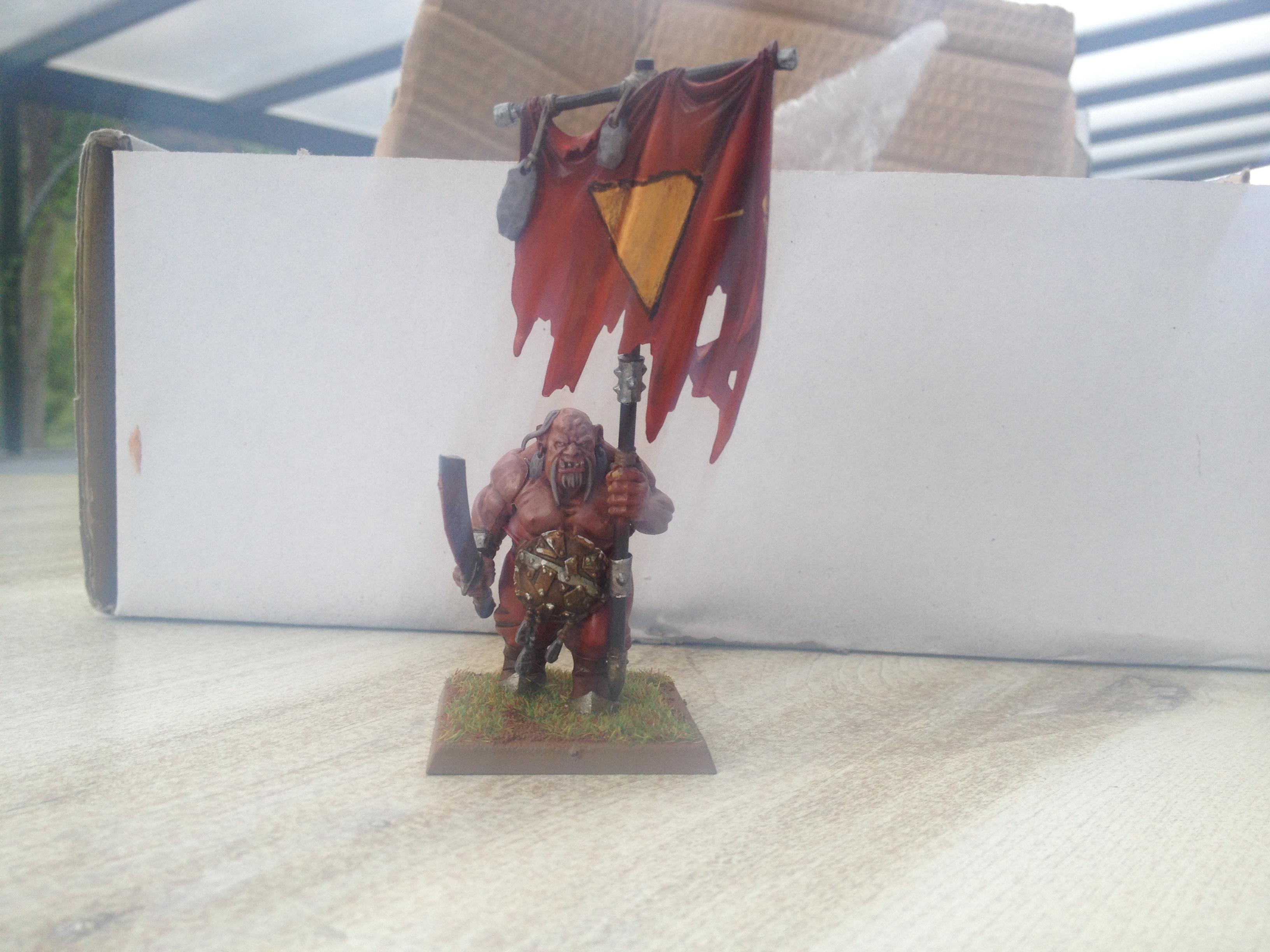 Ogre Kingdoms, Ogres